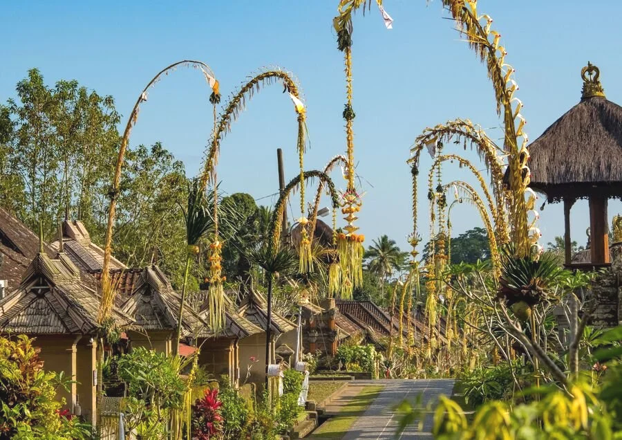 Your bali day tour