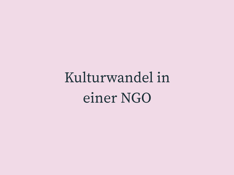 Kulturwandel in einer NGO
