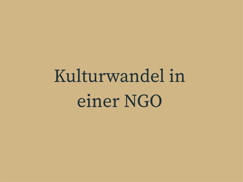 Kulturwandel in einer NGO
