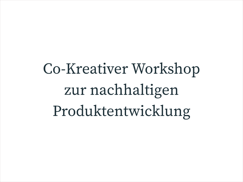 Co-Kreativer Workshop zur nachhaltigen Produktentwicklung