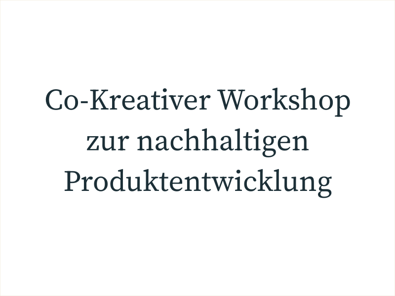 Co-Kreativer Workshop zur nachhaltigen Produktentwicklung