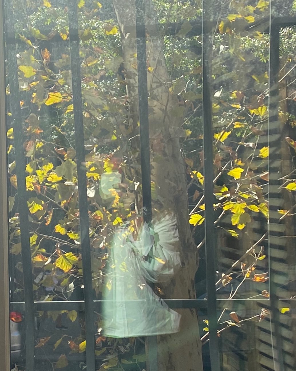 New writing project commenced in (in Chelsea) earnest today: 

Old Women: A History of our Future

More to follow 🍁🍂