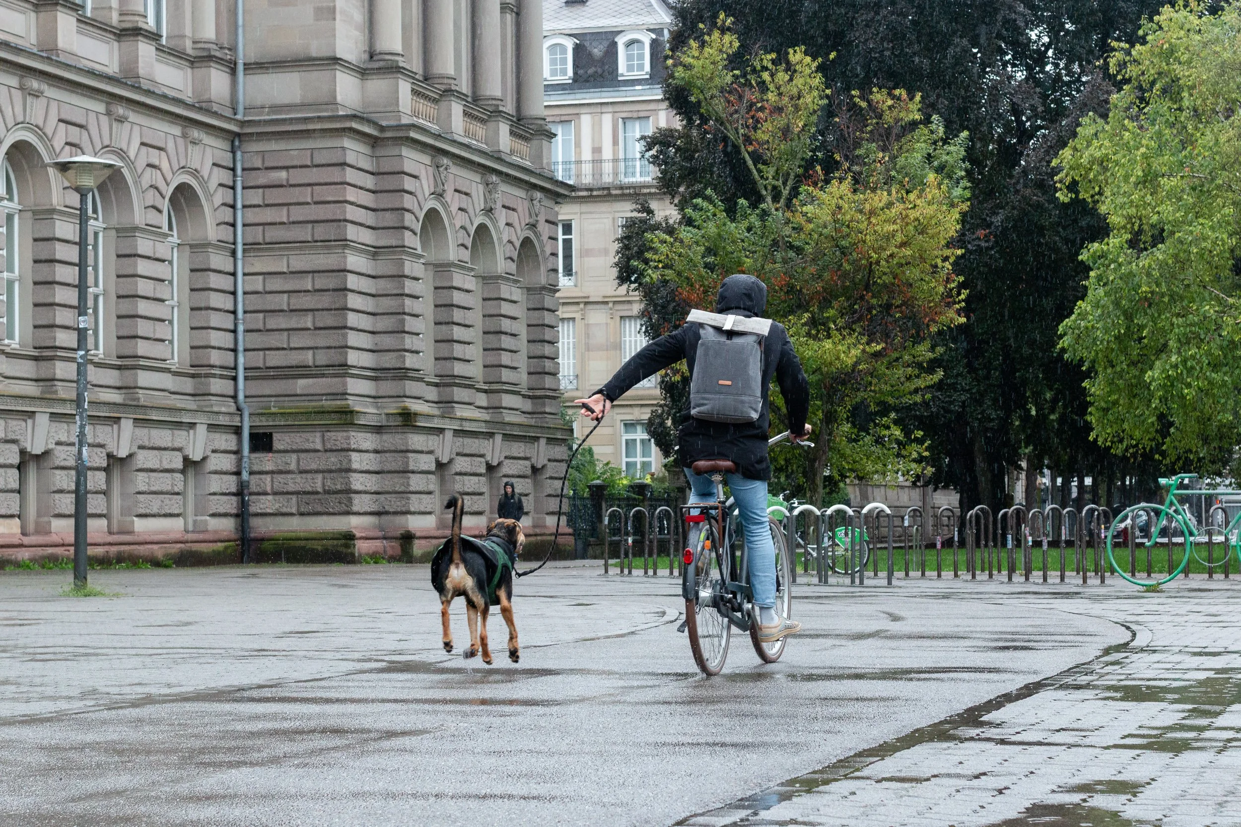 Cyclist riding through Strasbourg while holding a dog on a leash.