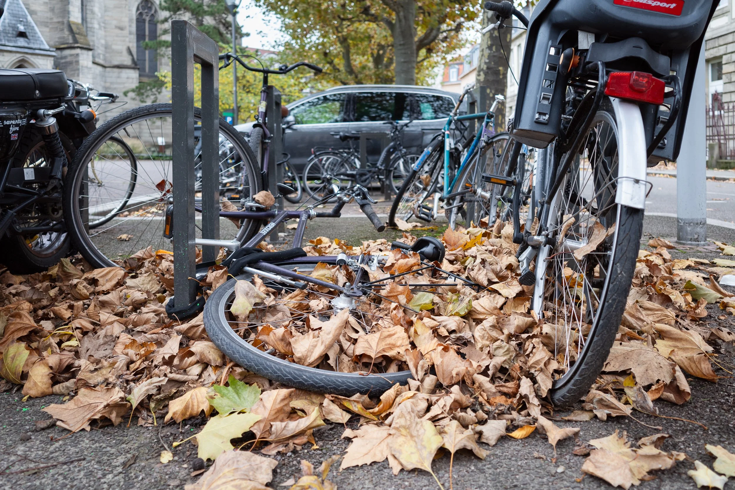 Fallen bicycle lying among autumn leaves beside other parked bicycles.