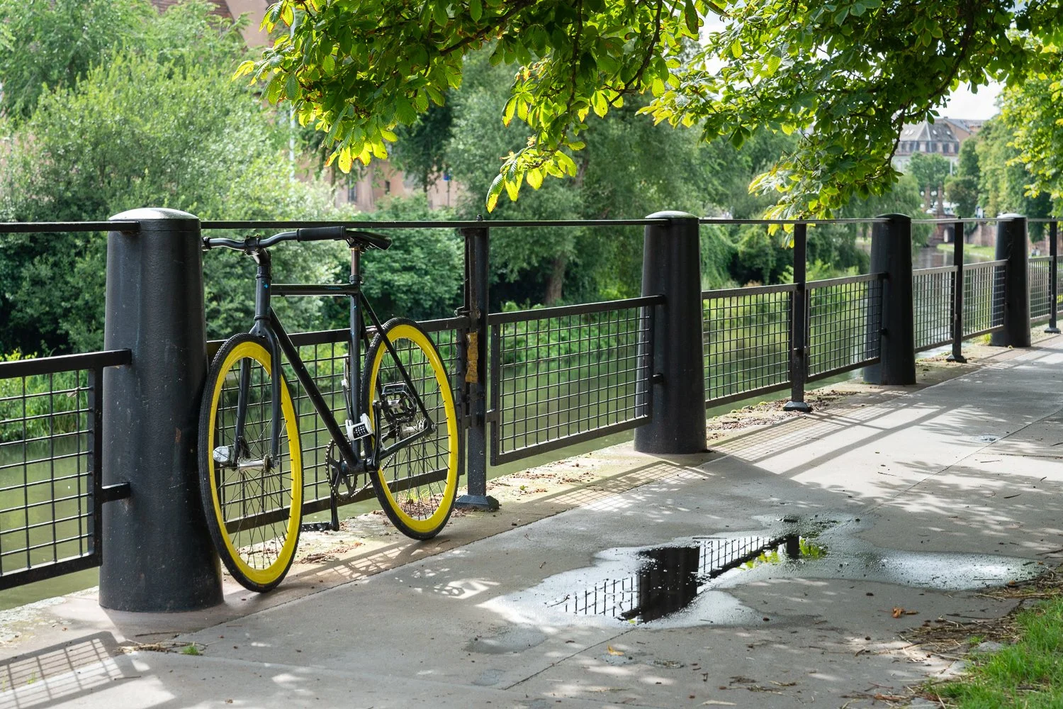 La Vie à Vélo à Strasbourg | Documentary Photography project by Jahan Golestani | © JGolestani