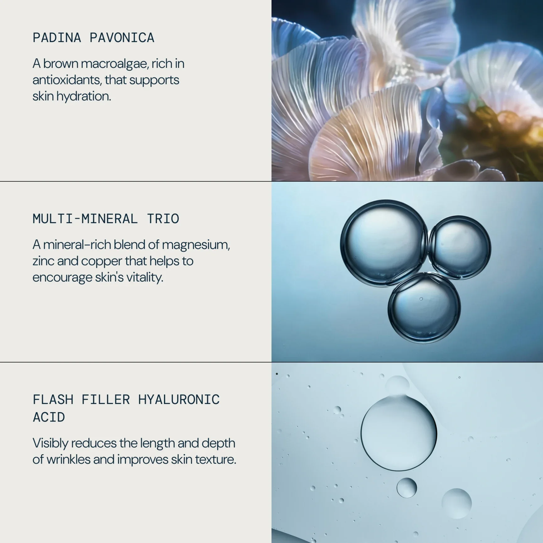 60158_Pro-Collagen-Marine-Moisture-Essence-100ml_INGREDIENTS.webp