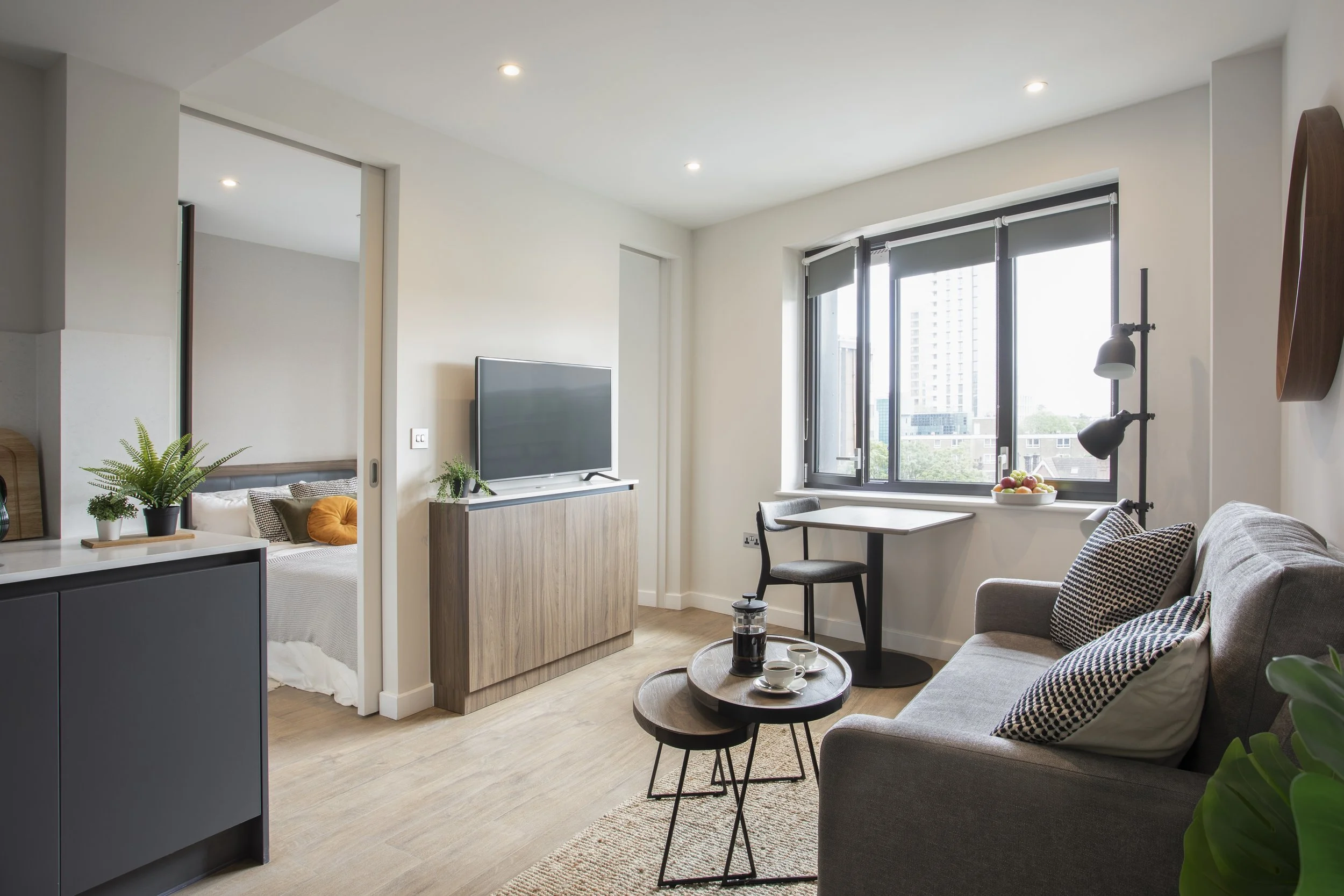 1 Bed Mid Century Modern Living Area.jpg