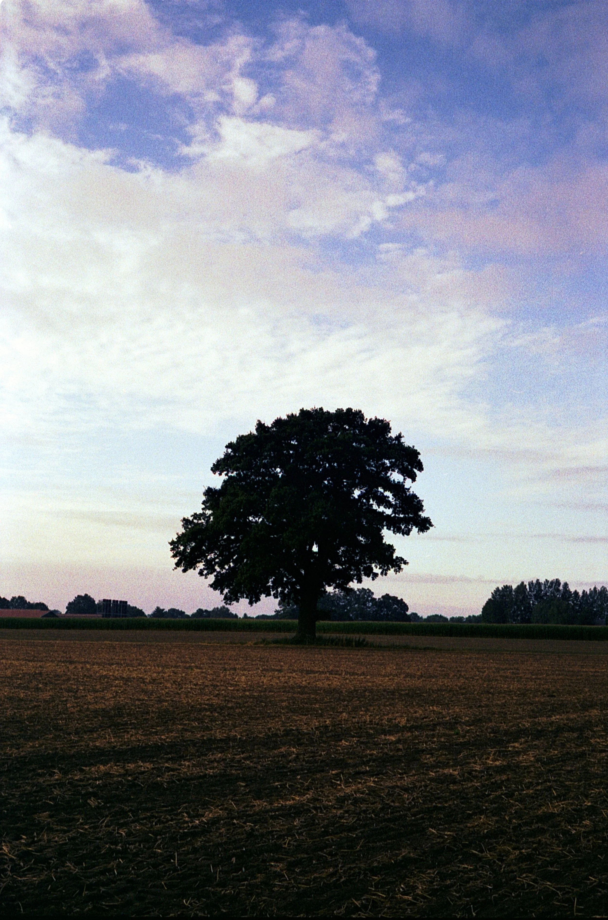 Leica M5 - Kodak Gold 200_19.jpg