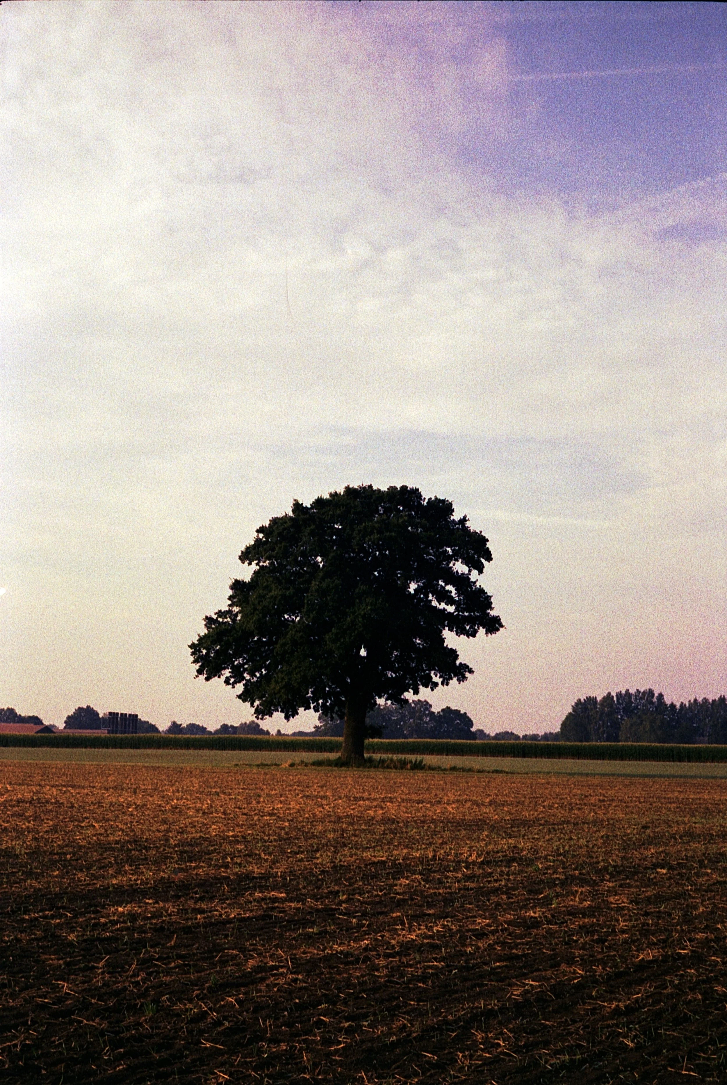 Leica M5 - Kodak Gold 200_24.jpg