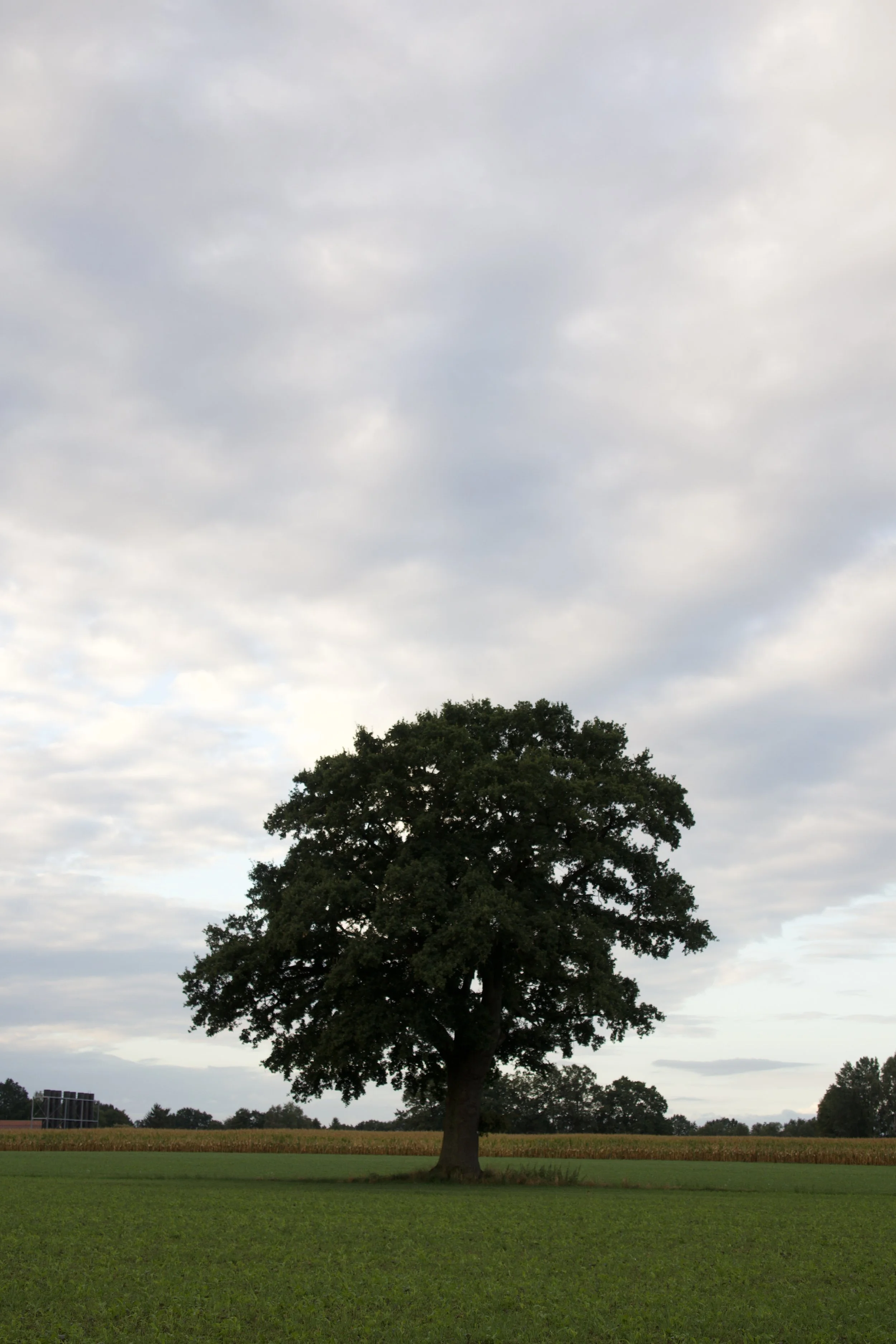 IMG_2440.jpeg