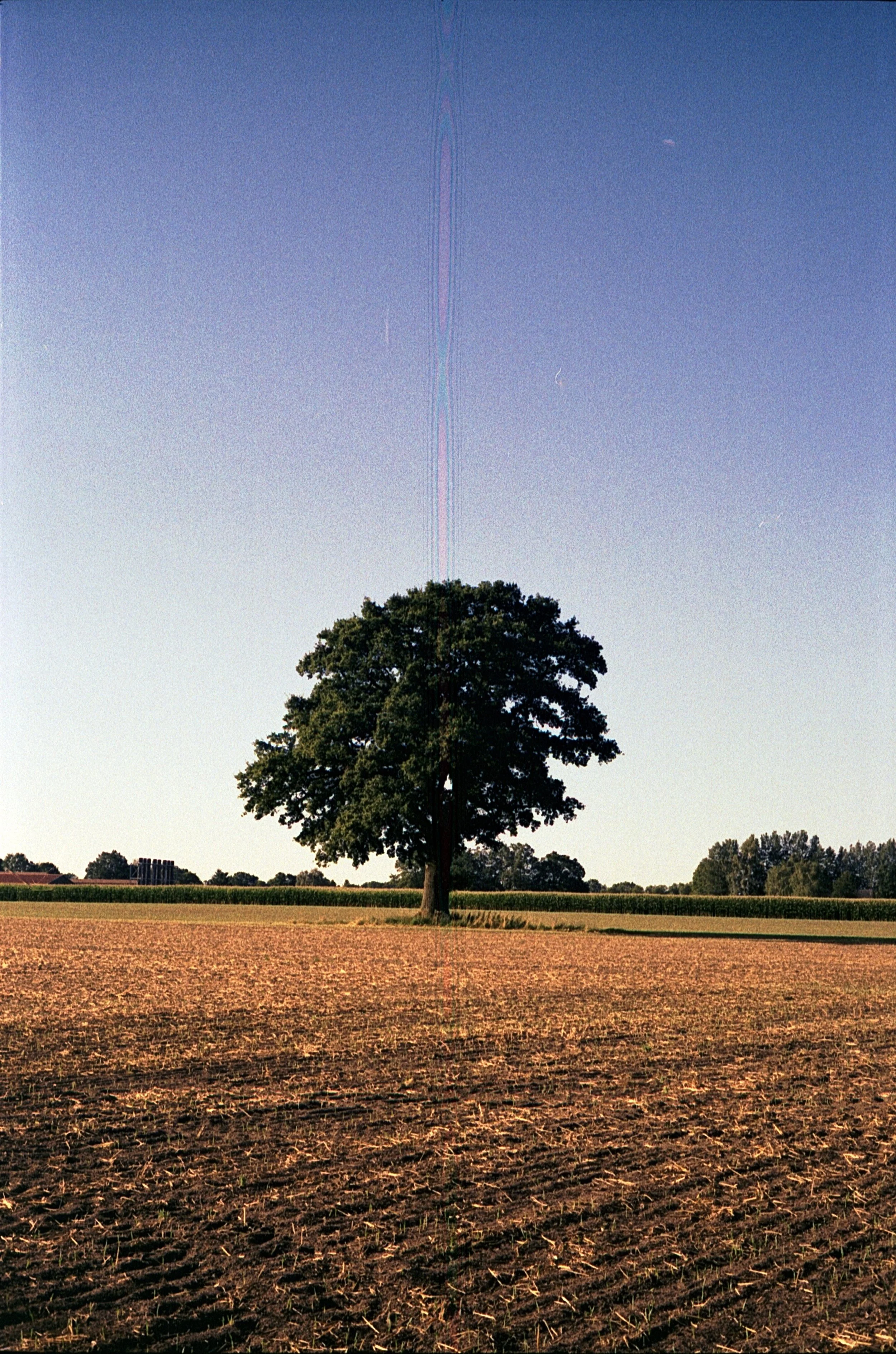 Leica M5 - Kodak Gold 200_22.jpg