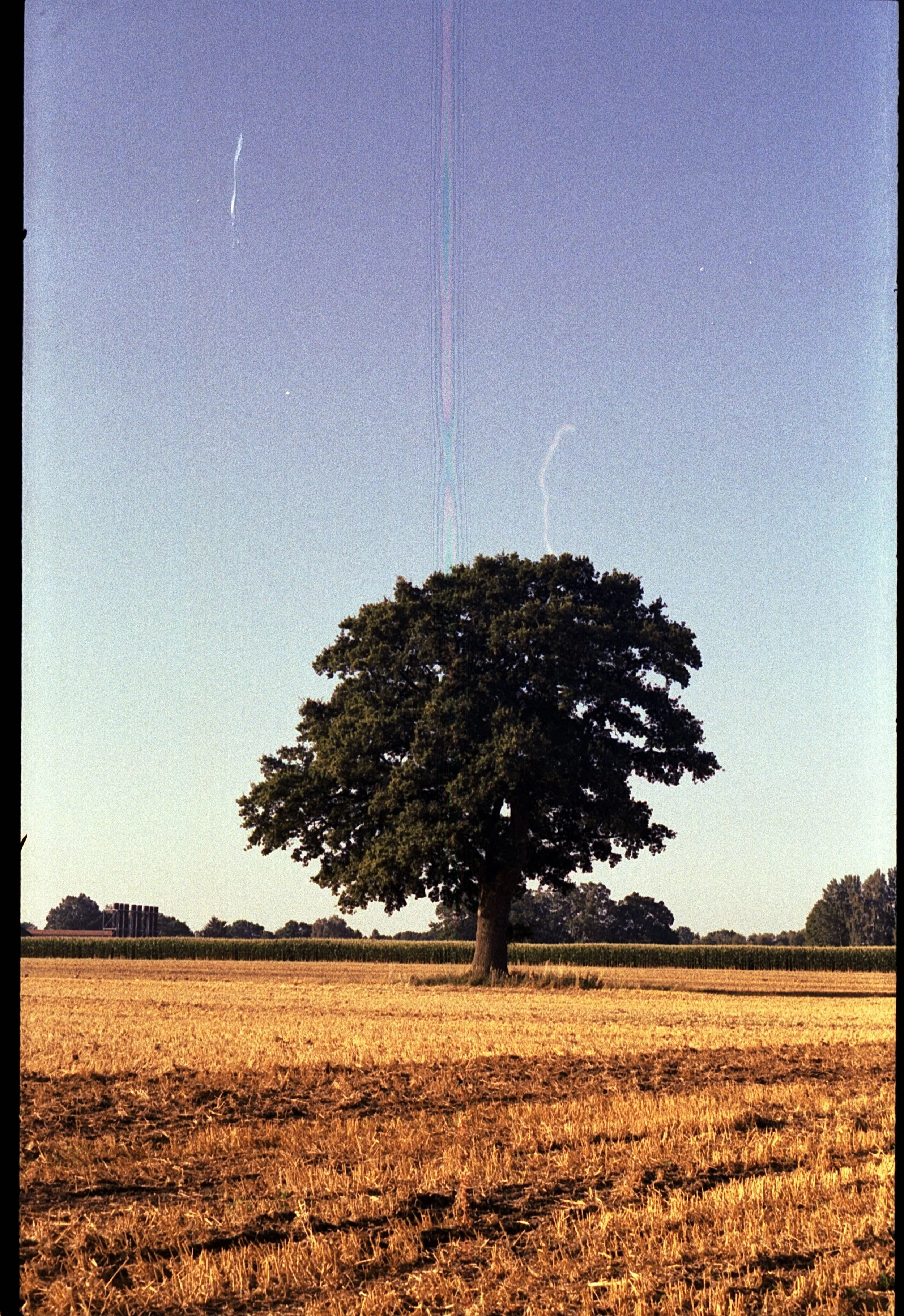 Contaflex - Kodak Gold 200 -15.07.2026_22.jpg