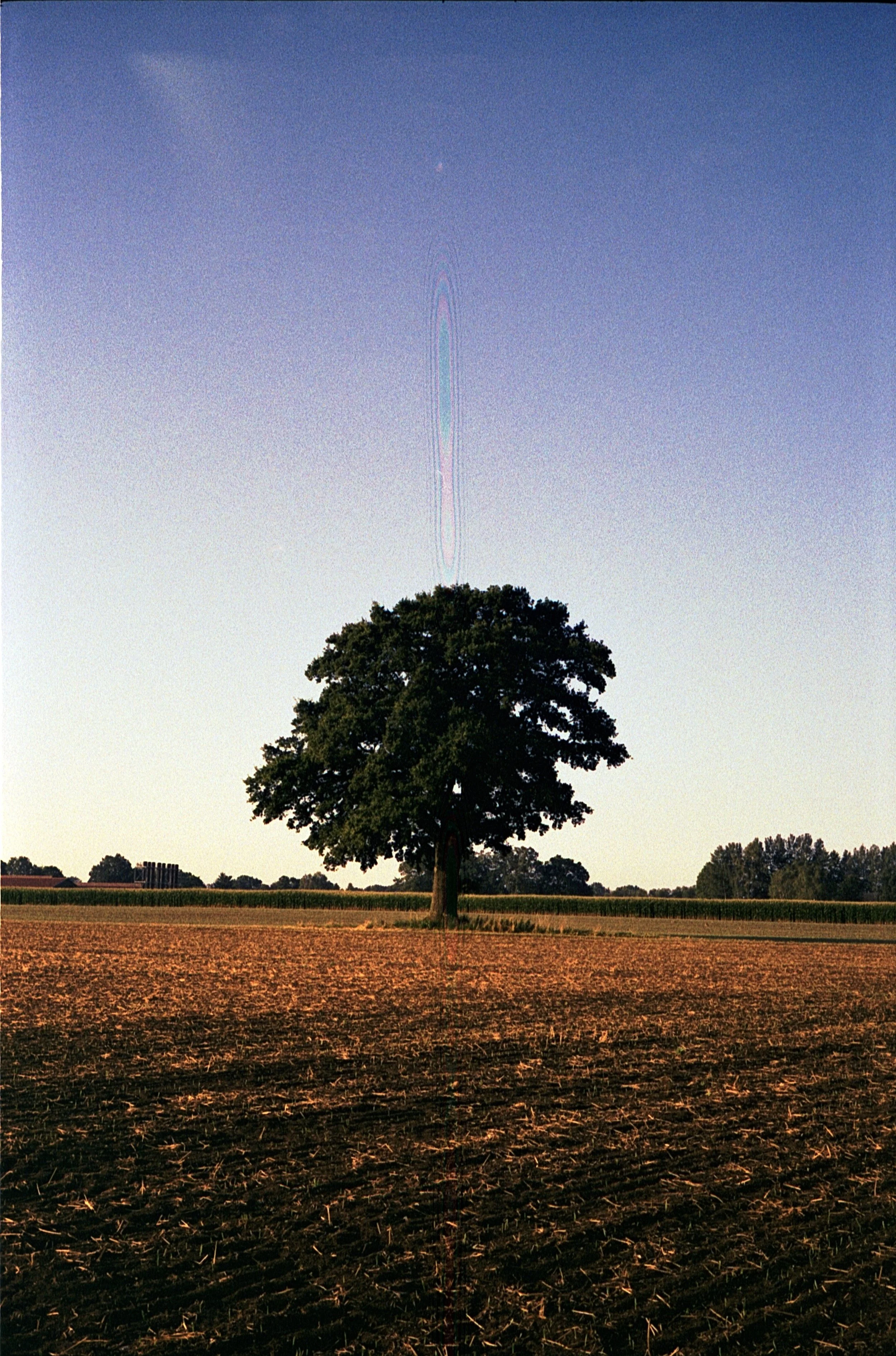 Leica M5 - Kodak Gold 200_21.jpg