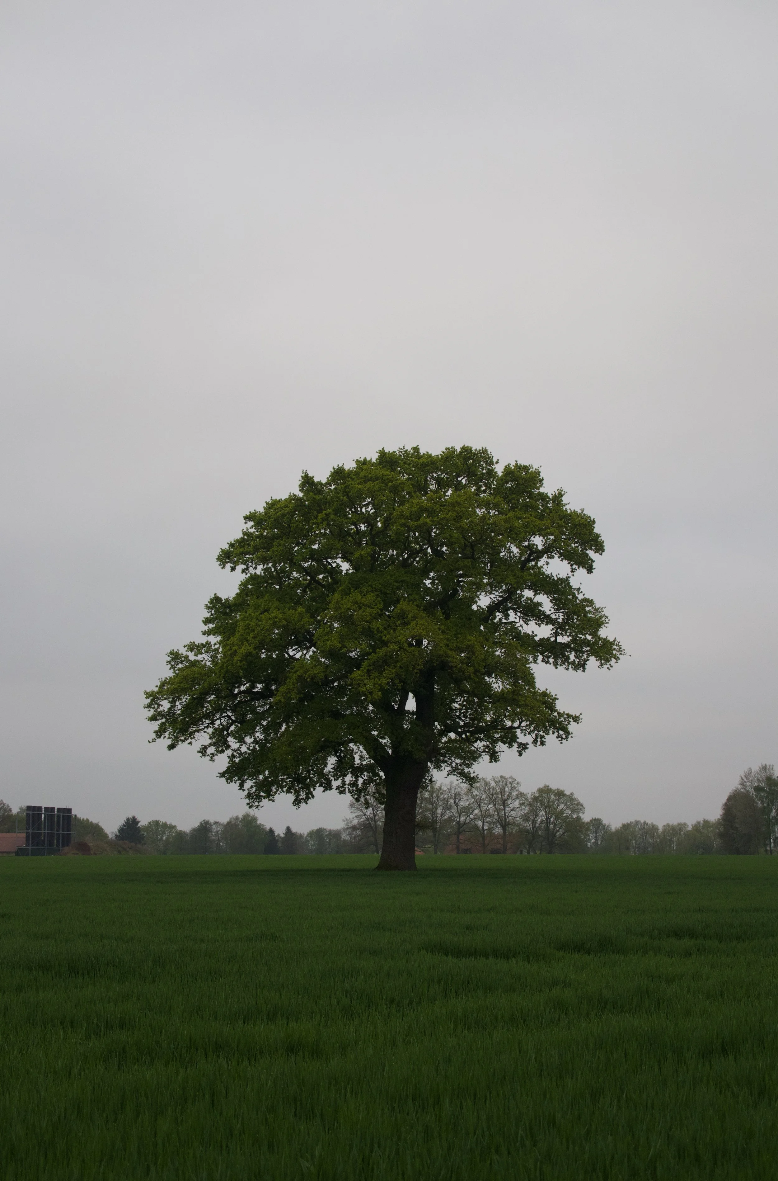 IMG_2267.jpeg