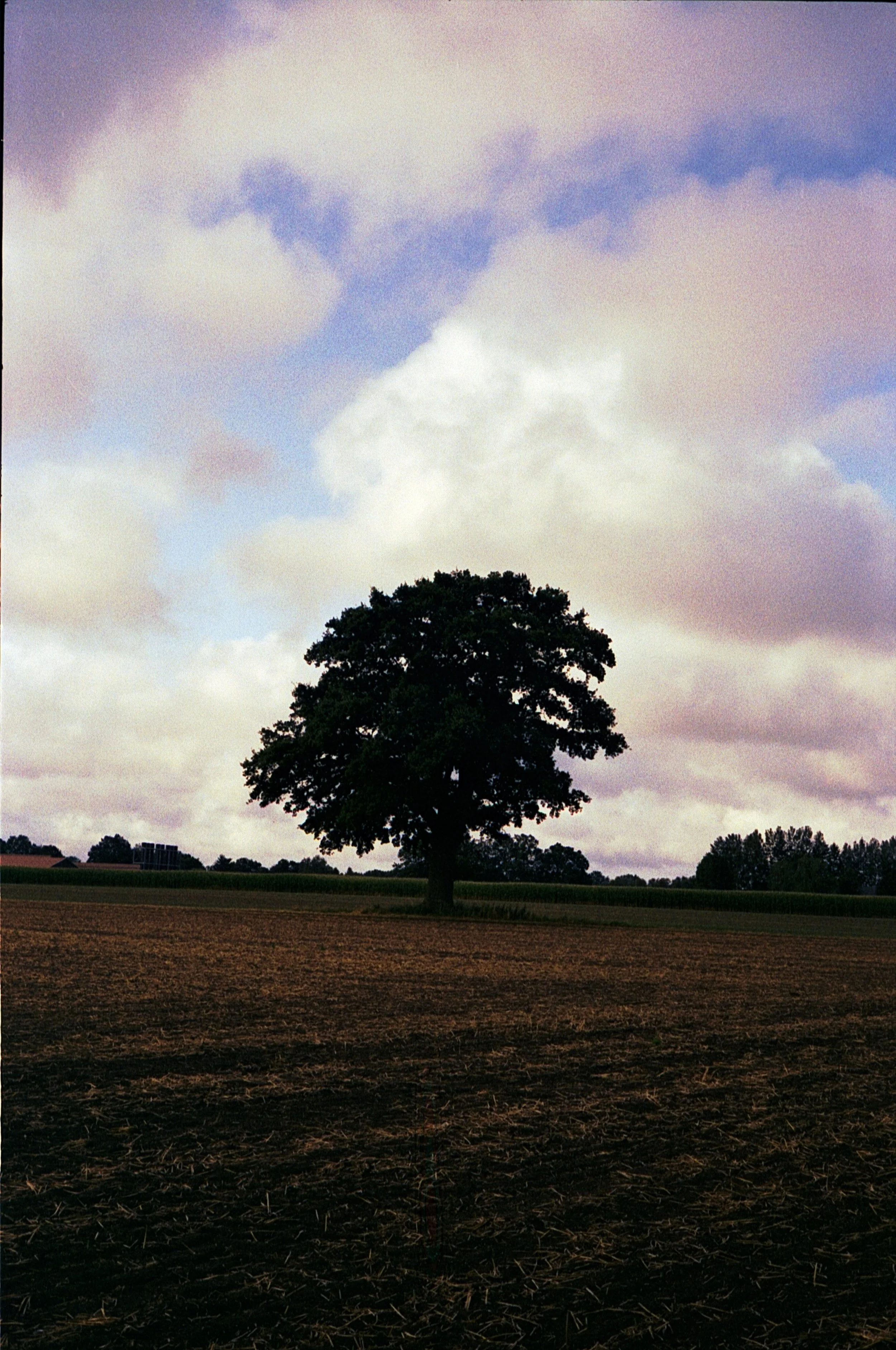 Leica M5 - Kodak Gold 200_20.jpg