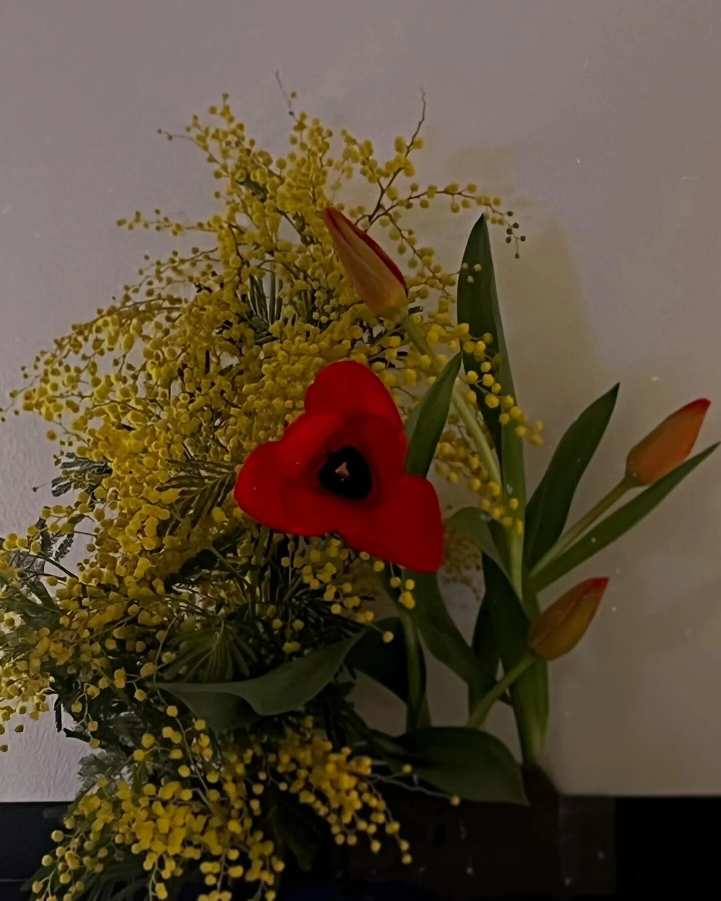 🎥🌸 花樣年華 x Wong Kar-Wai
A floral transfiguration of one of Wong Kar-Wai&rsquo;s most popular movies, whose original name 花樣年華 (Huayang Nianhua) literally translates to the pinnacle time of life, the age of blooming. 
.
A project of interpretation an