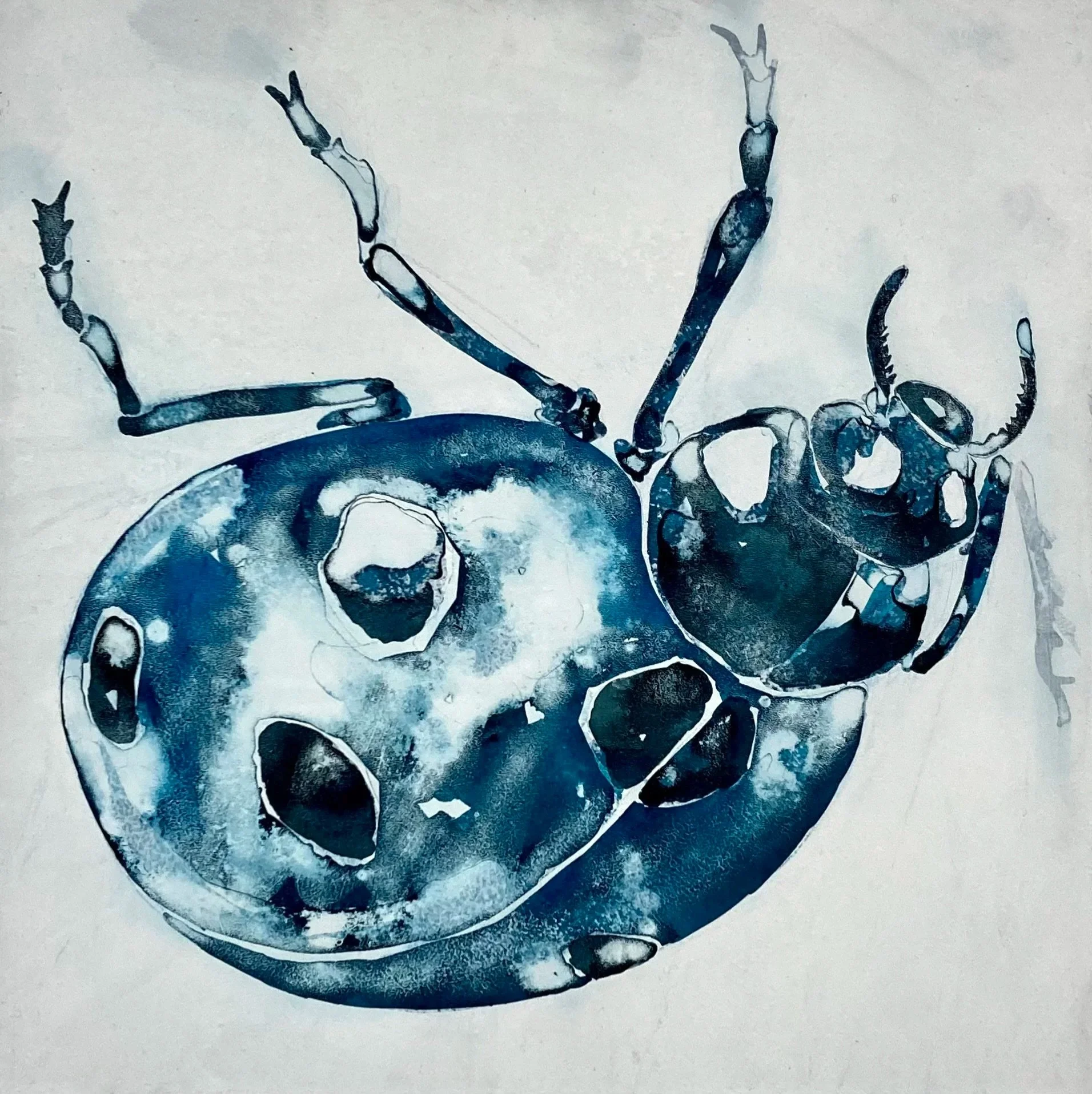 Beetle            acrylic on board         30cm x 30cm         2020