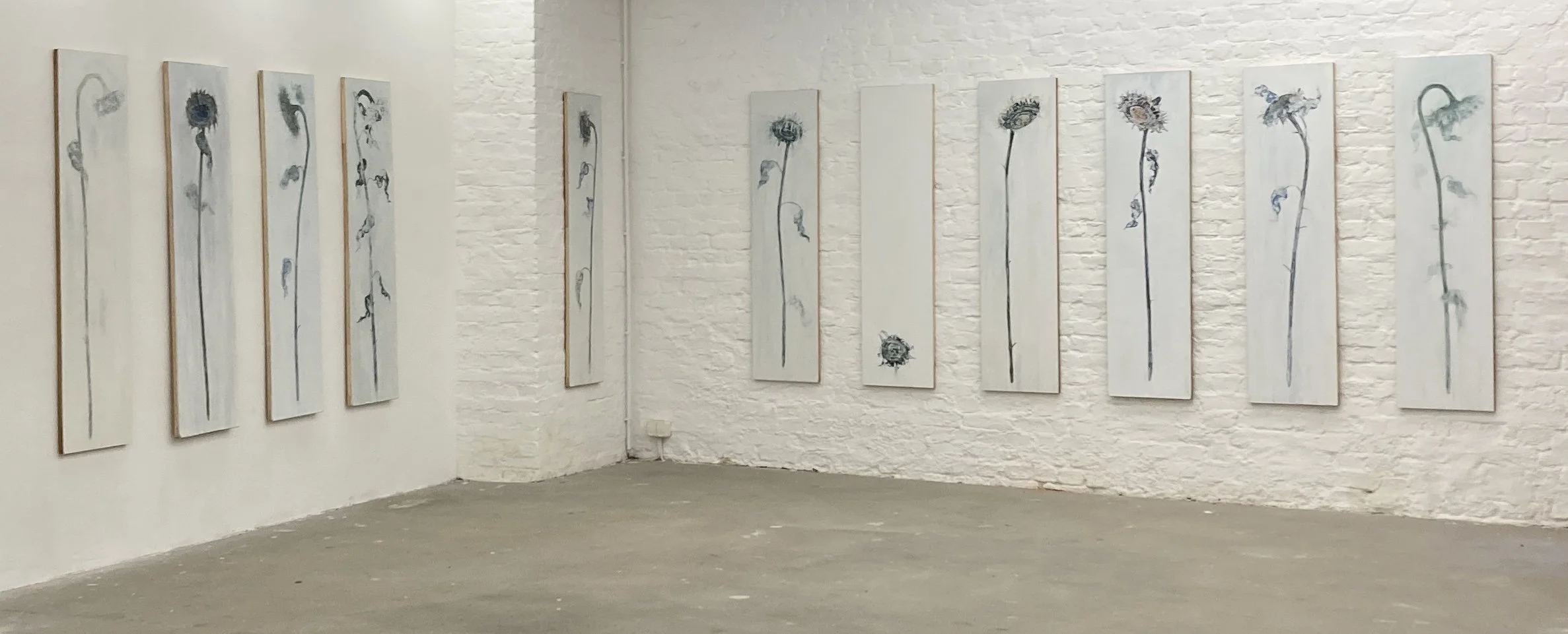 FELD      acrylic & mixed media on board             (12 x) 150cm x 40cm     2026