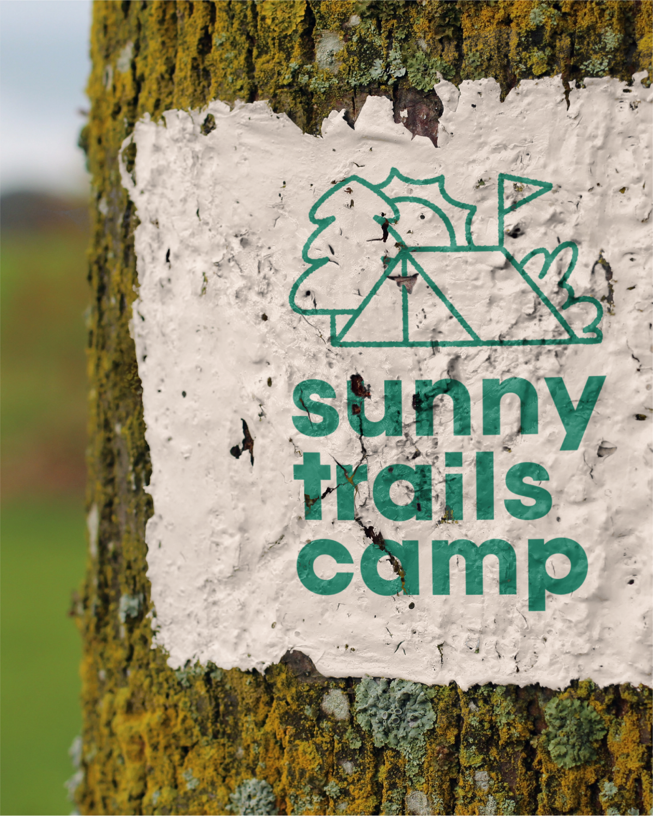 sunny trails camp 11.png