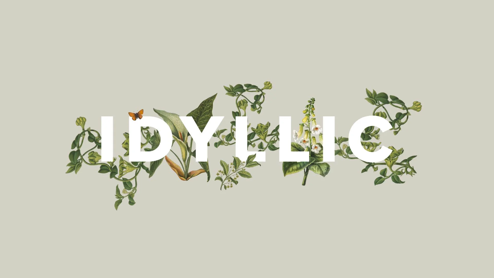 01 IDYLLIC_00000.jpg