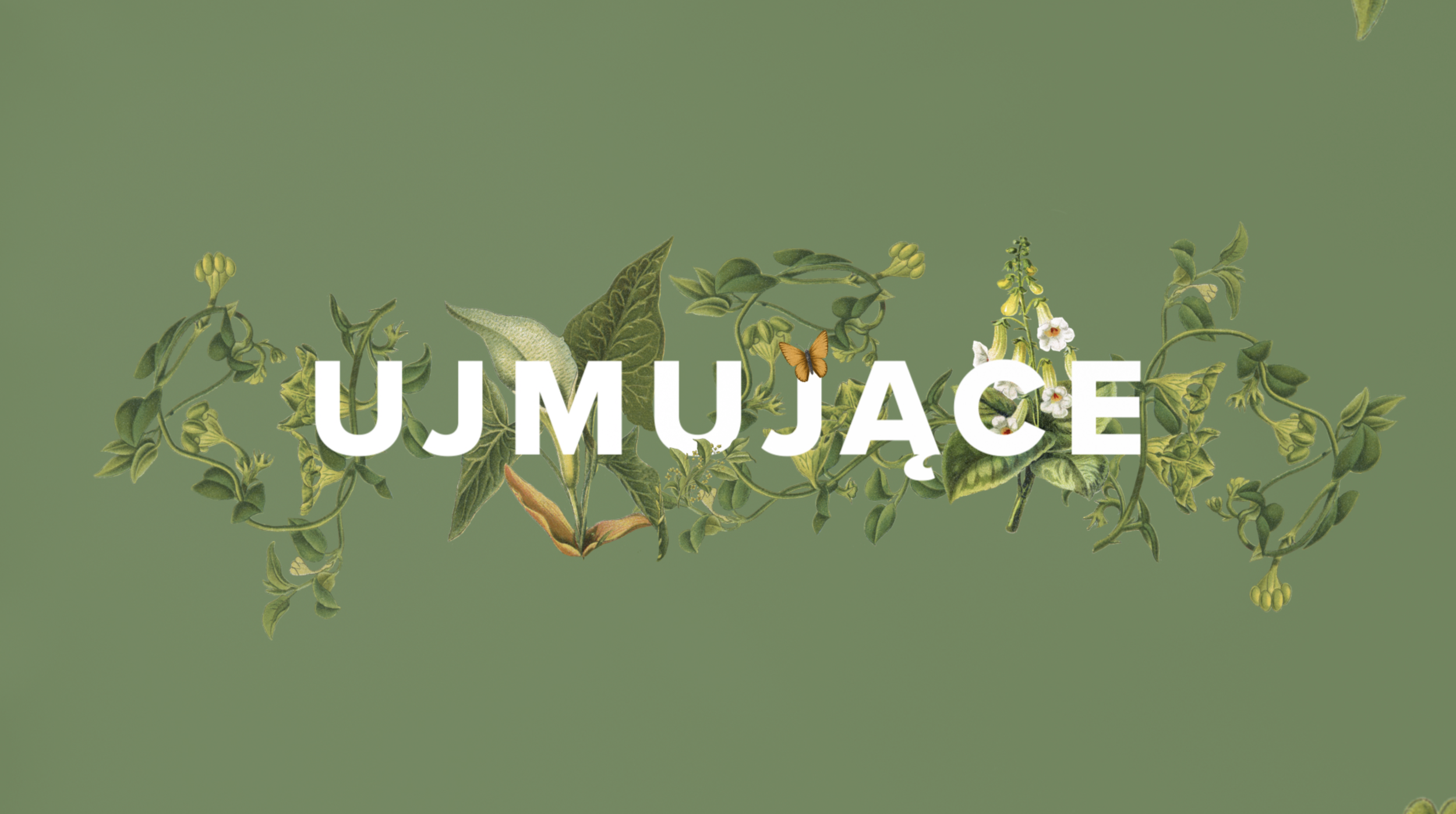 Screenshot 2021-11-24 at 17.14.32.png