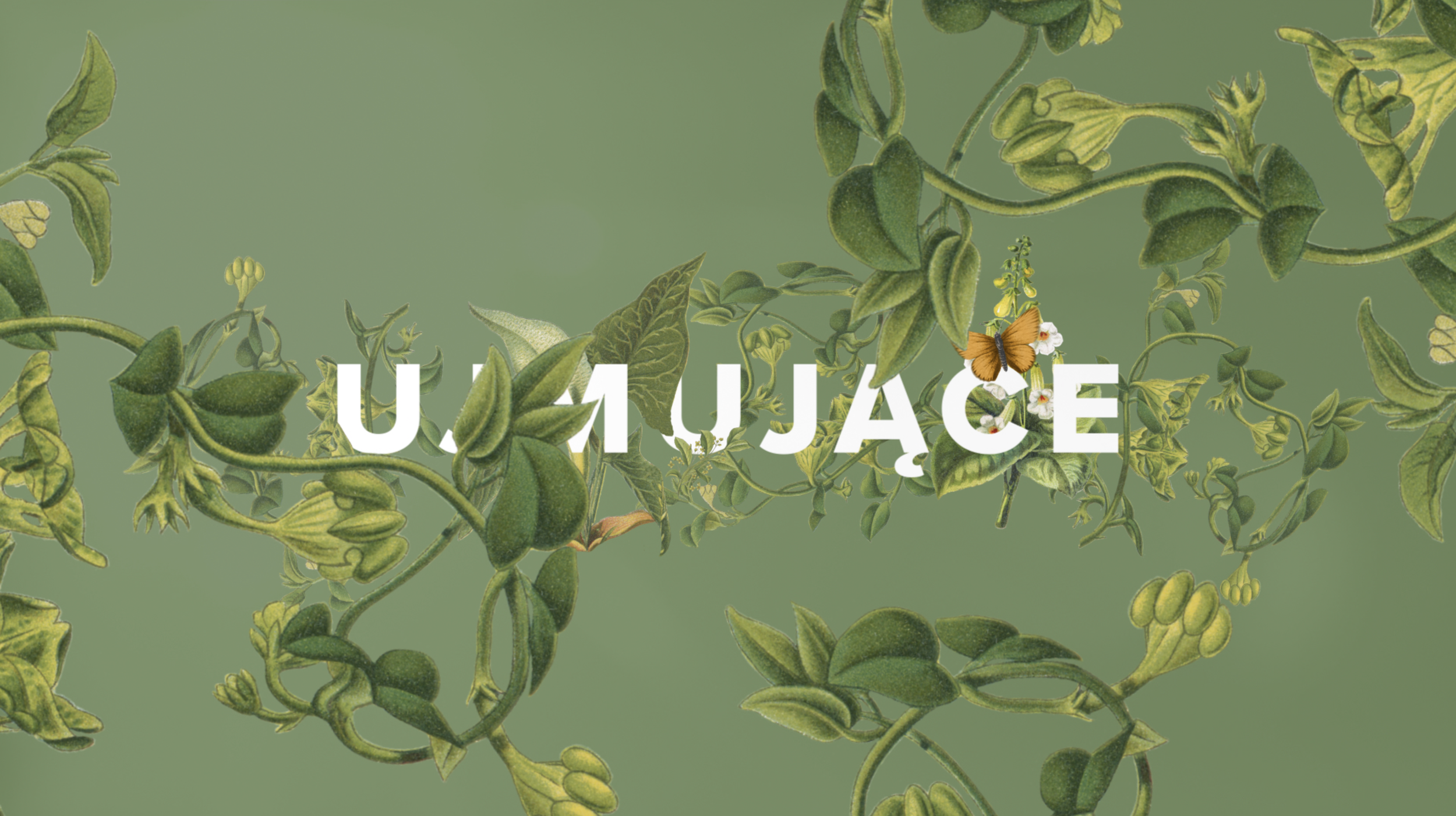 Screenshot 2021-11-24 at 17.14.06.png