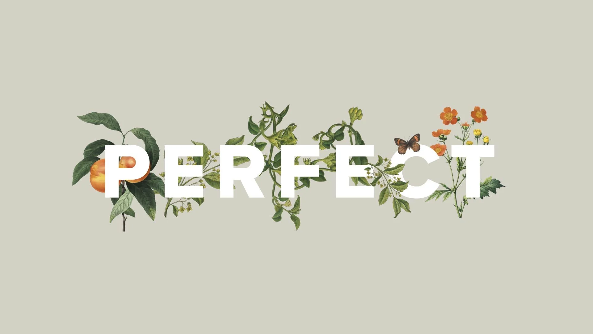 04 PERFECT_2_00000.jpg