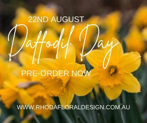 🌼Daffodil Day🌼 
This year Daffodil day is Thursday 22nd of August. 
It&rsquo;s a time for all Aussies to get together and, for all that cancer takes, give. 

You can order: 
🖥️ www.rhodafloraldesign.com
📞 97543784
Or just pop in.