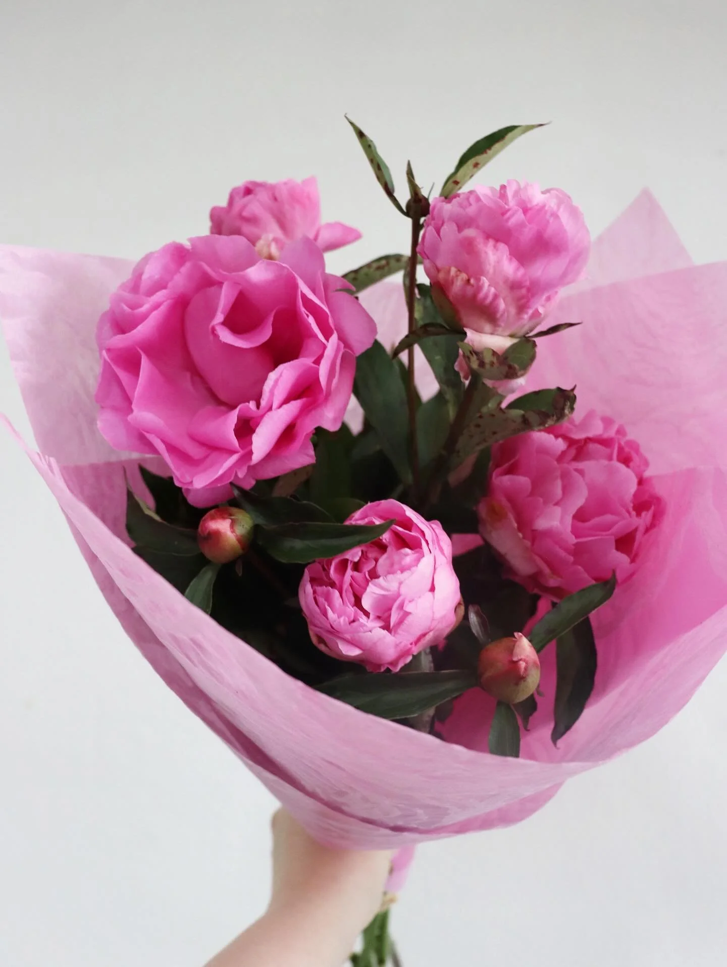 Peony season is officially here!!! 🌸

We have the most stunning locally grown Peonies available as bunches or in bouquets!

Come visit us today and brighten up your home with some gorgeous Peonies! We are open until 3pm 🌸🌿