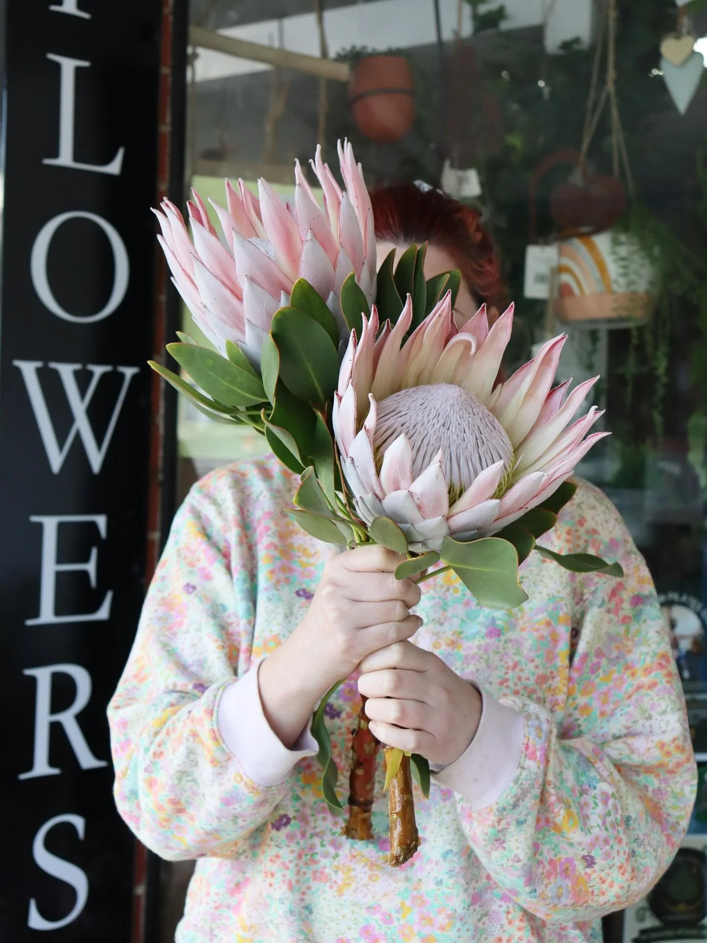 How stunning (and huge) is this Locally grown King Protea??!

We only have a couple of these beauties left so come visit us in store today!

We are open until 3pm today for all your weekend flower &amp; gift needs 🌸🌿

#kingprotea #protea #locallygr