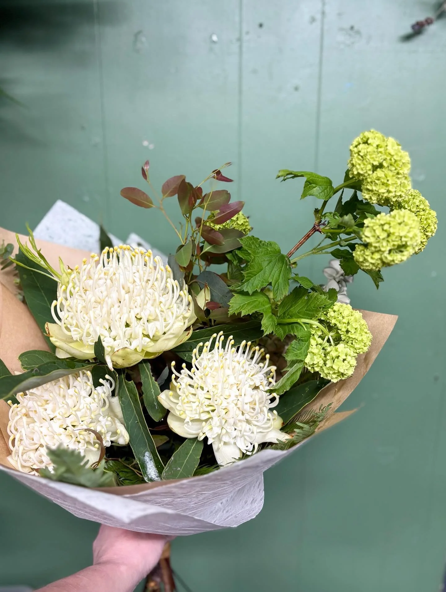 We have gorgeous White Waratah bouquets available in store and online!

These stunning white Waratahs are grown locally in the hills. We have paired them with seasonal local florals in a bouquet perfect for any occasion 🤍🌿🍂

Our White Waratah bouq