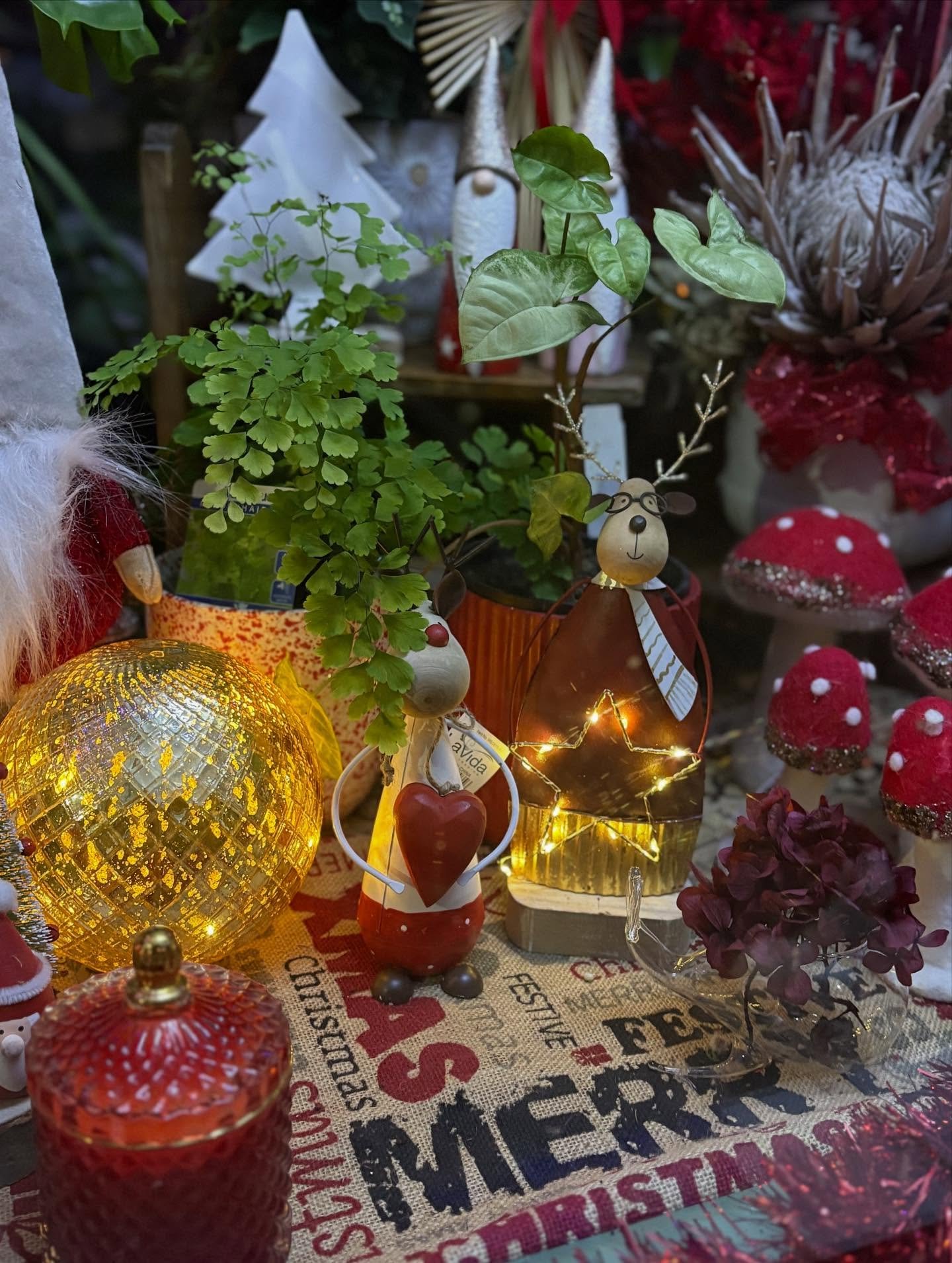 ✨Some magical moments in our Christmas window ✨

We are fully in the holiday spirit here at Rhoda with beautiful Christmas decorations, gifts and flowers available and Christmas tunes pumping all day long! 🎄🎅

Come visit us and say hi! We are open 