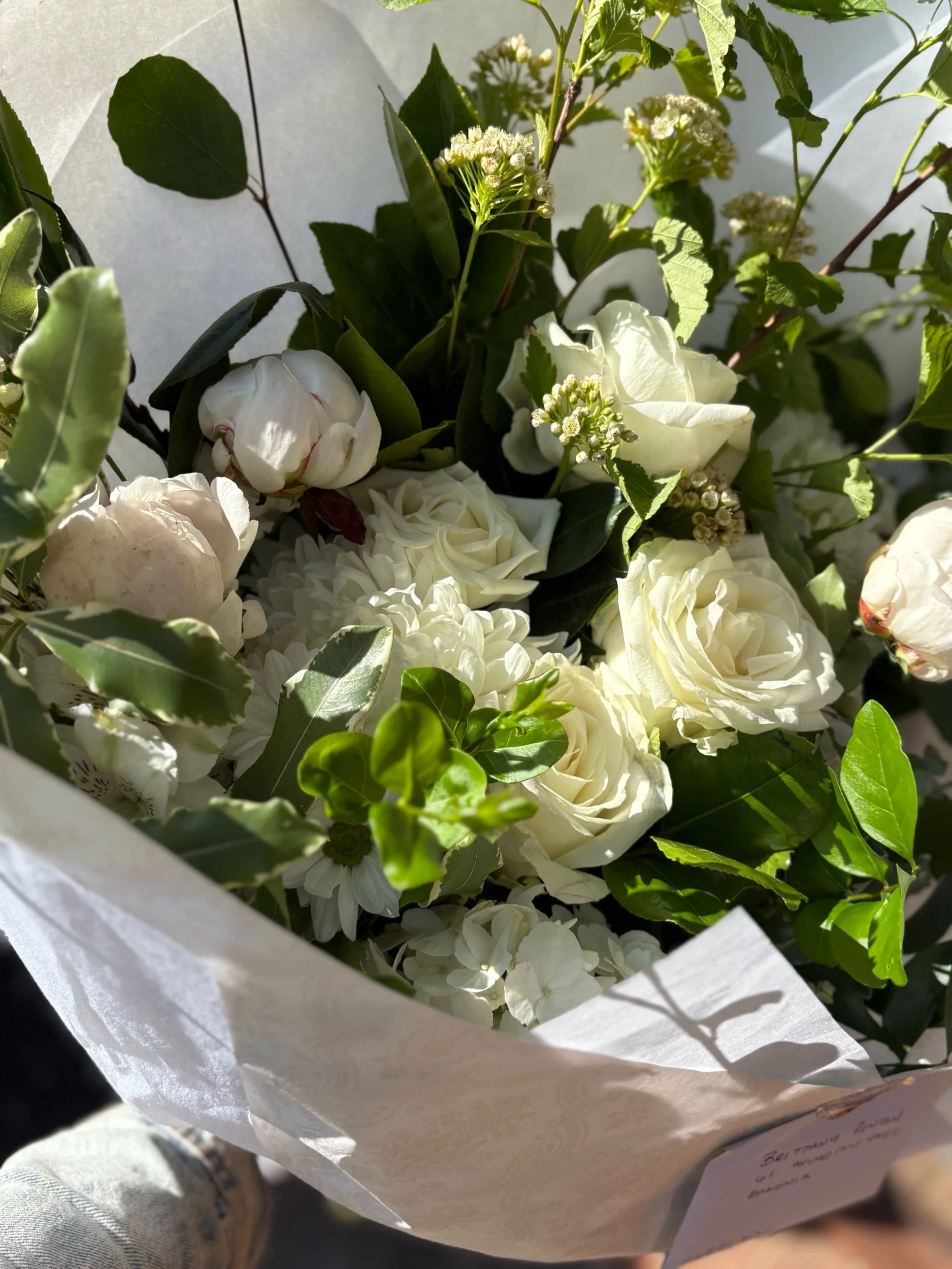 Seasonal Selection - White & Green