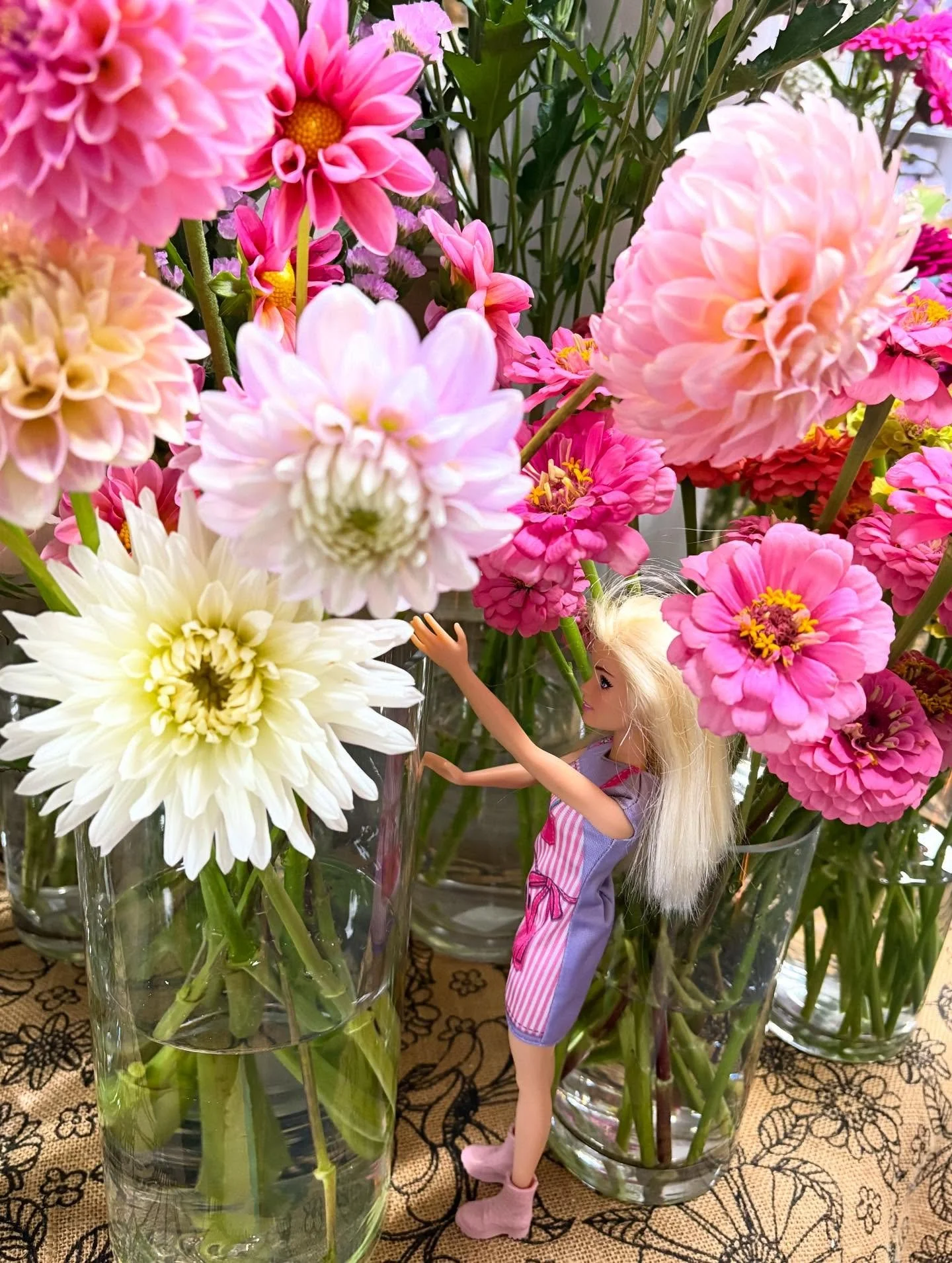 Florist Barbie approves of the gorgeous, locally grown Dahlia&rsquo;s &amp; Zinnia&rsquo;s we have in store! 🌸

Come say hi today and let us (or Florist Barbie) create some flower magic for you 🌻

We are open until 6pm for pick up for delivery toda