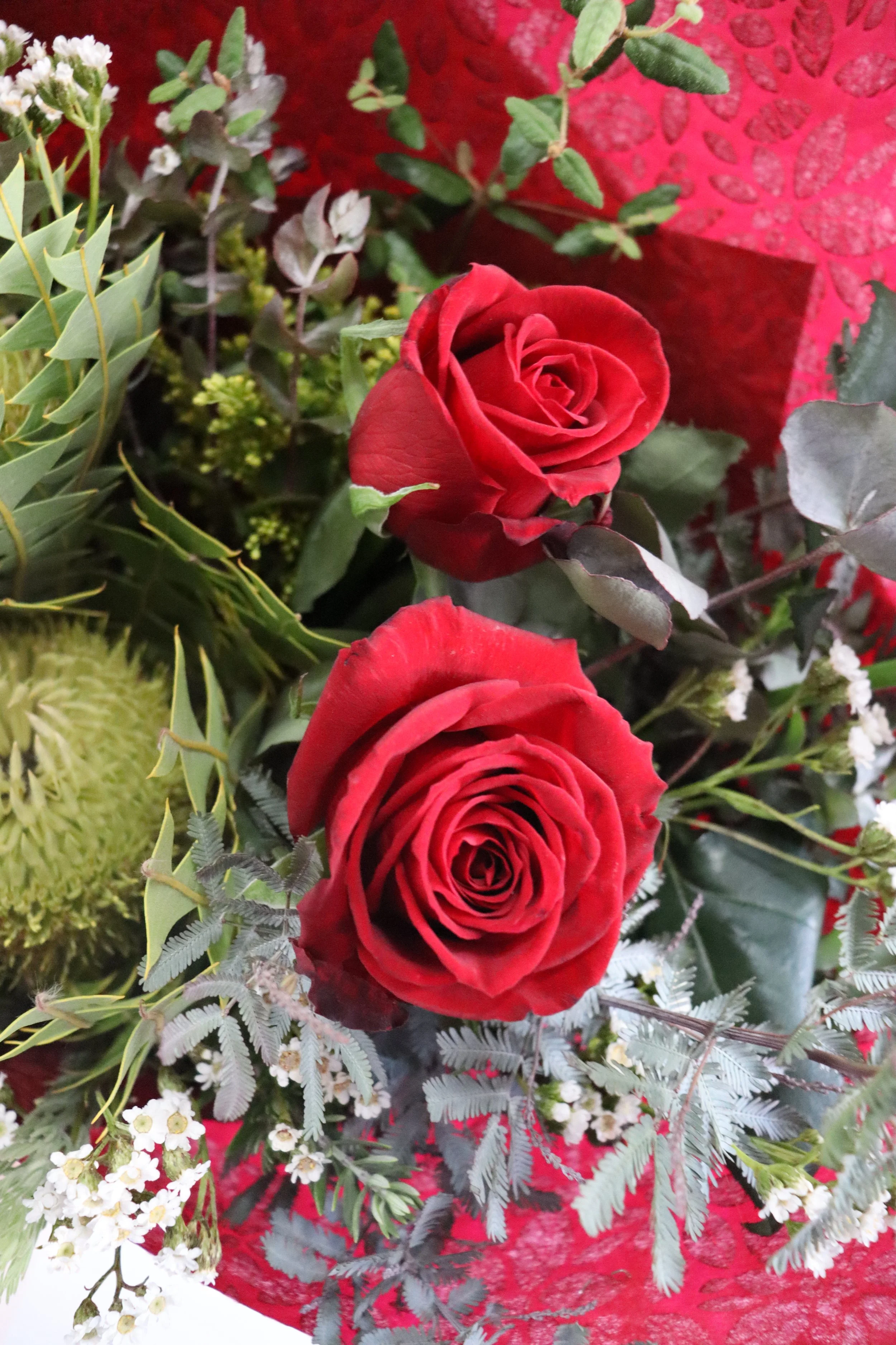 native and red rose.JPG