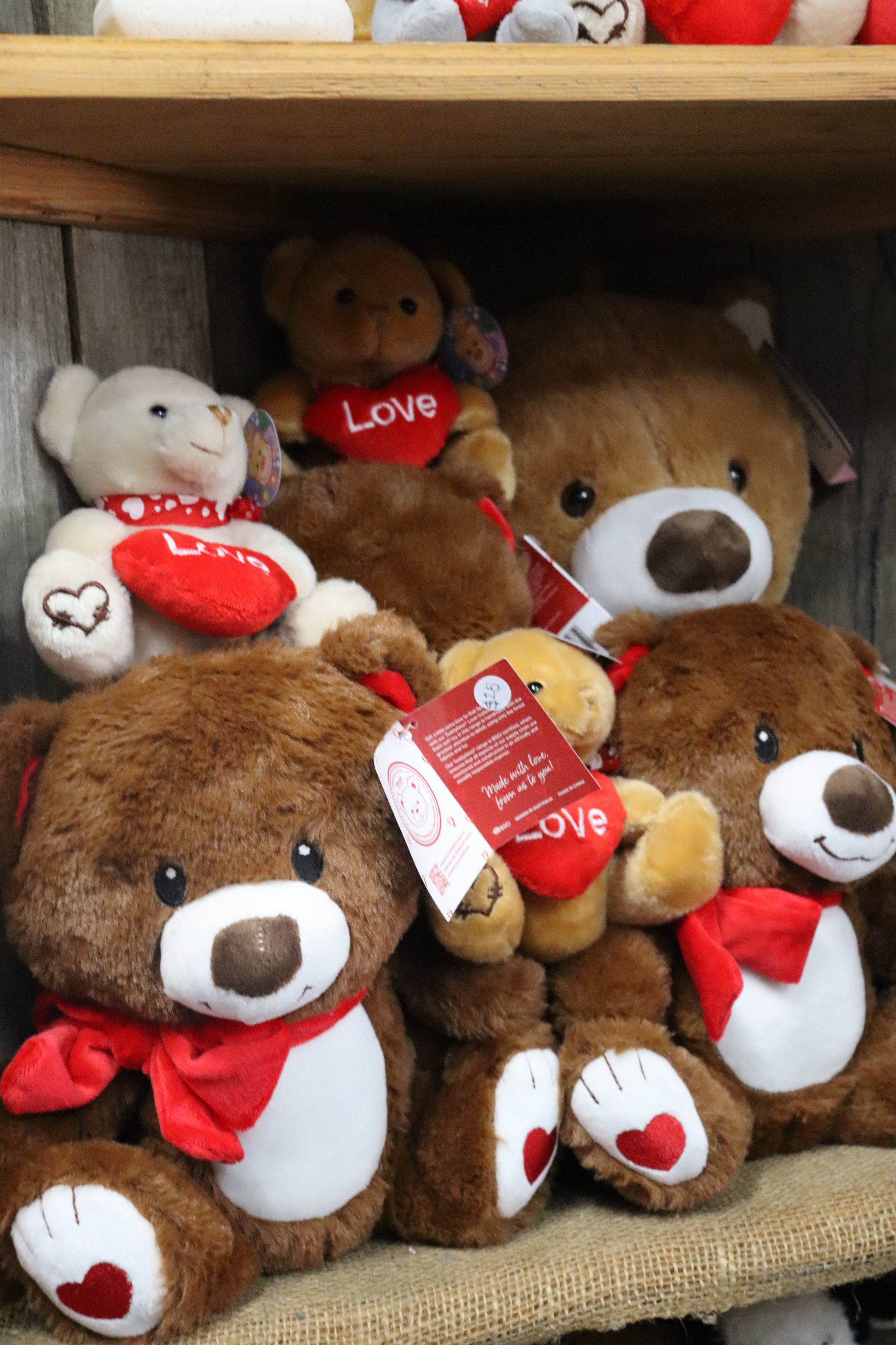 Valentine's Plush Toy