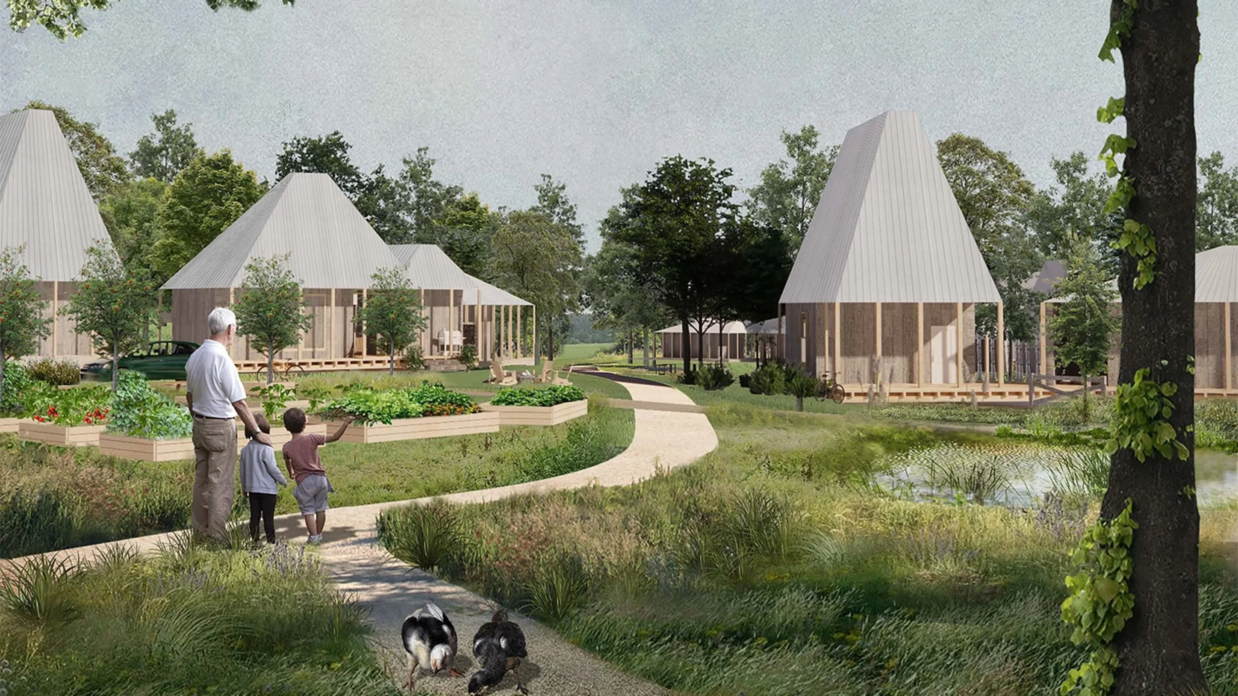 Timber houses surrounded by forest in Katrineberg sustainable village