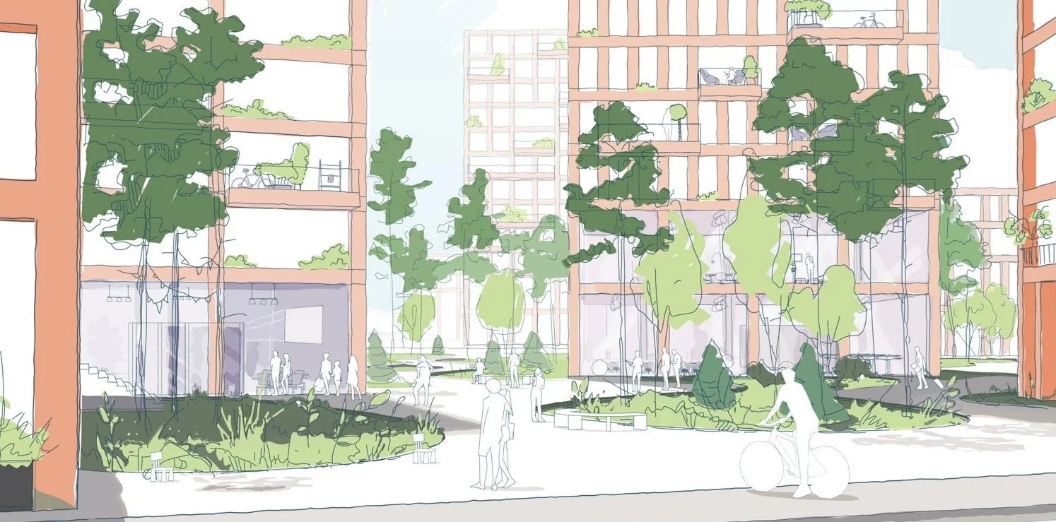 Gebiedsvisie Roelenkwartier