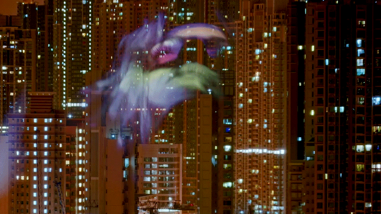 NOGA EREZ x GANGSTER