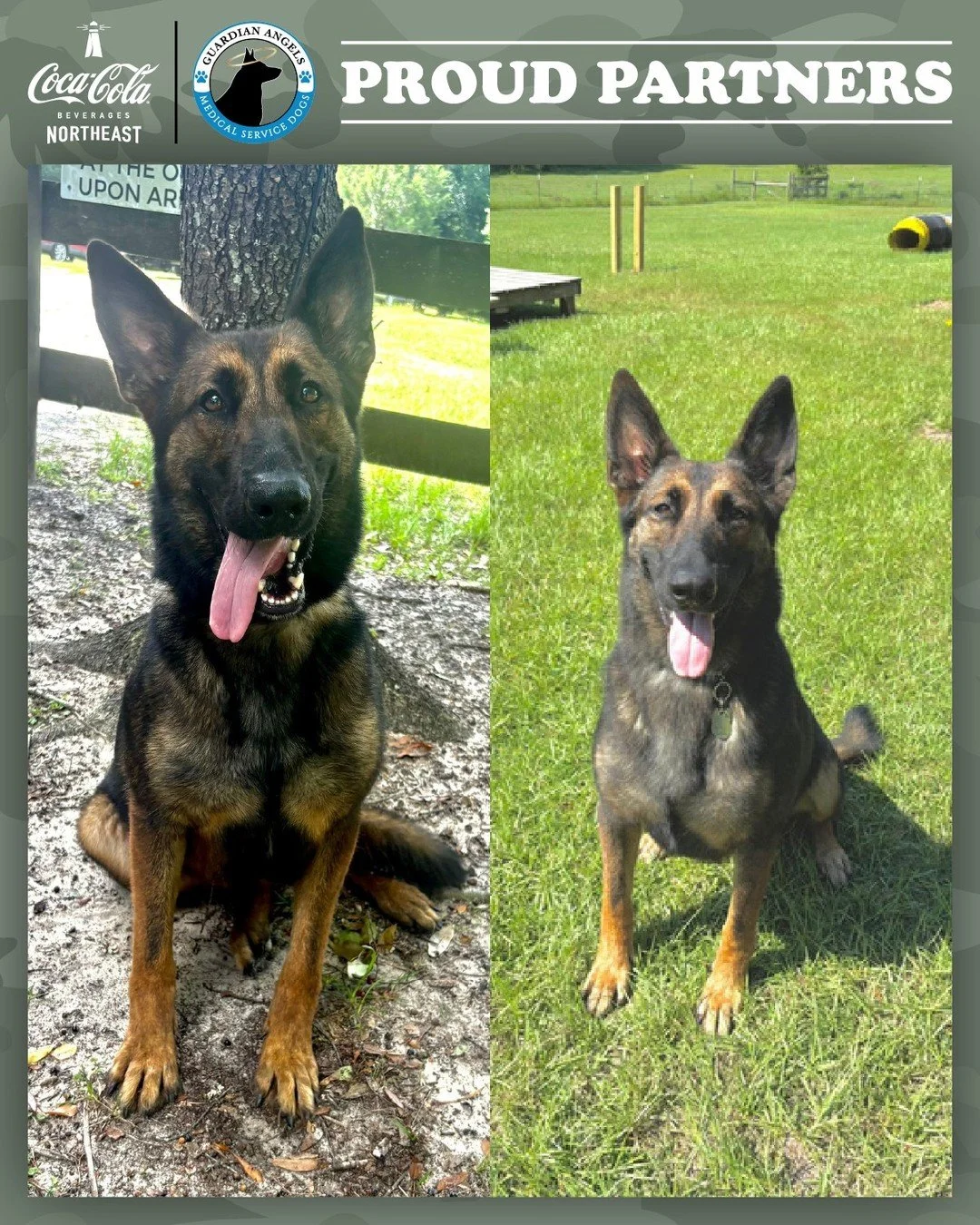 📣 NEW PUPDATE! Barqs, the medical service dog that Coke Northeast is sponsoring through Guardian Angels Medical Service Dogs, is in the midst of her Public Access Test training and is doing great! Over the summer, she went on several outings to brus