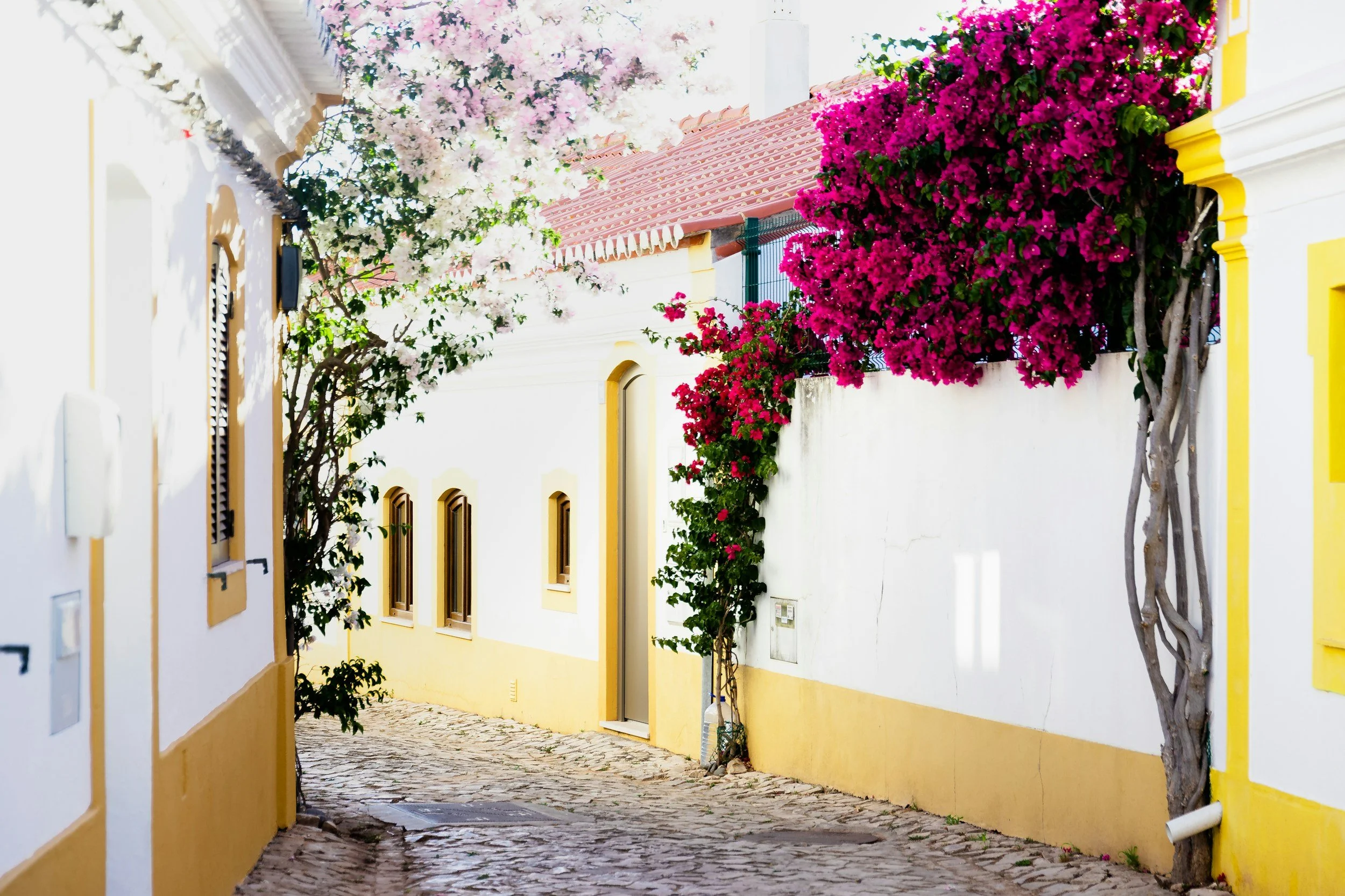 A narrow cobblestone street lined with white and yellow buildings, with bougainvillea flowers hanging over the walls, and a tree with pink blossoms.