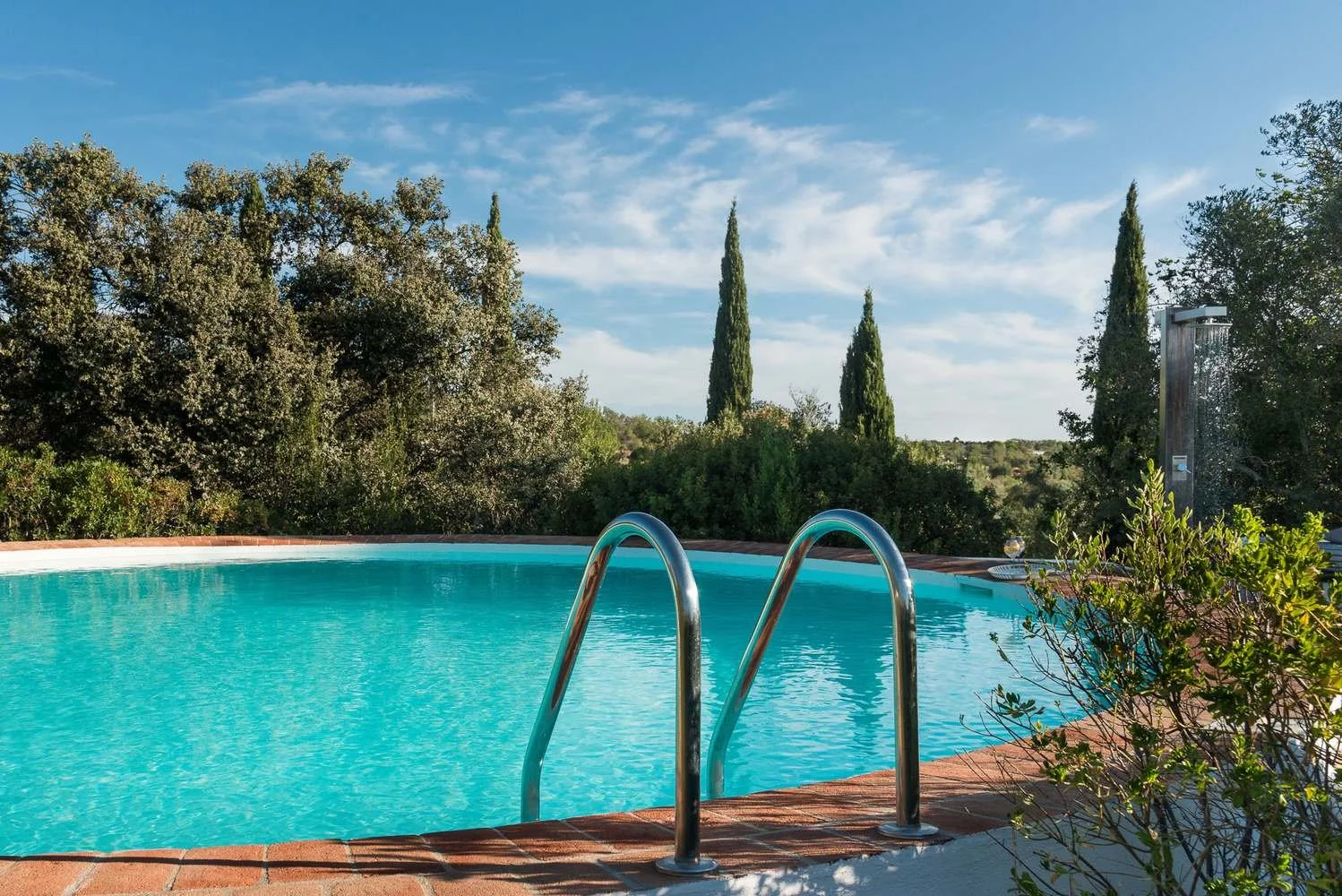 Outdoor swimming pool with metal ladder, surrounded by bushes, trees, and cypress trees, under a partly cloudy blue sky.