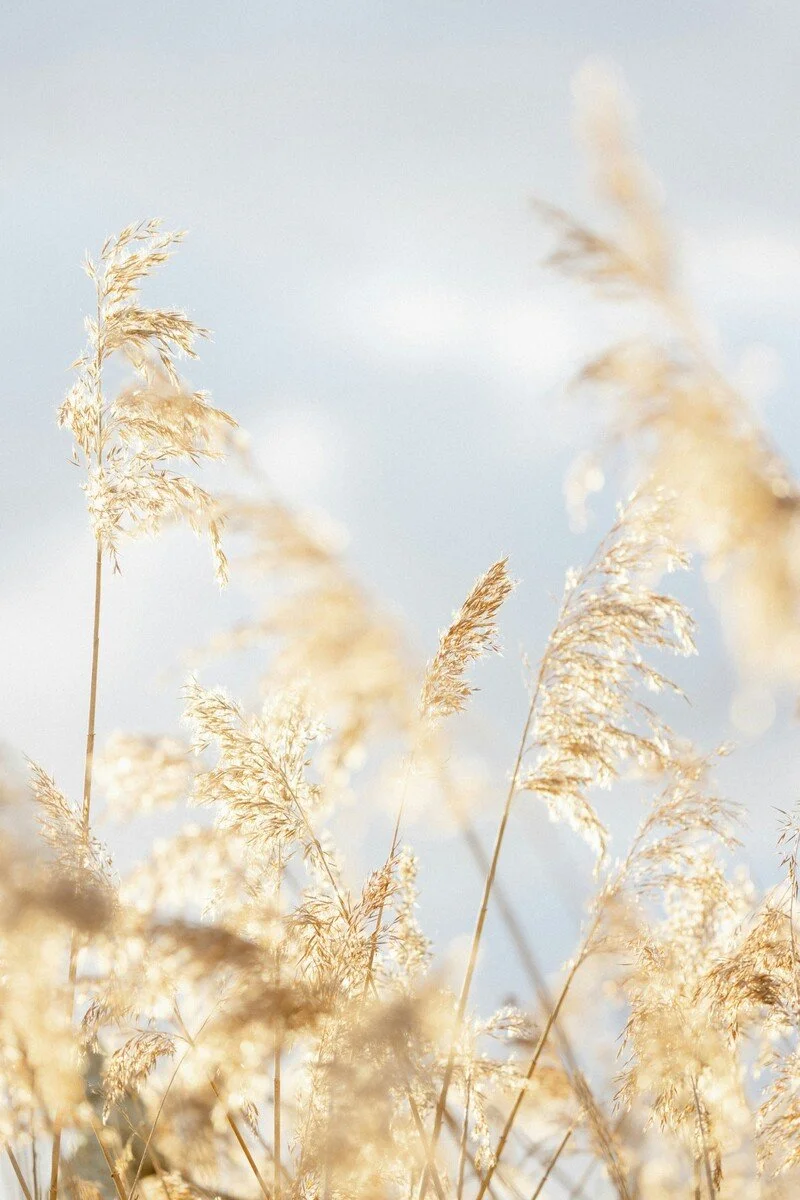 Abstract image with pink, blue, and black watercolor-like splashes and patterns.