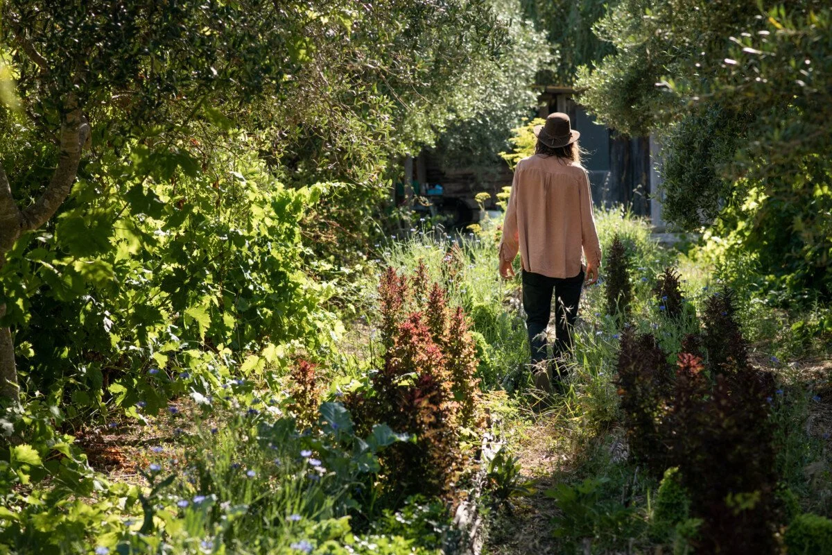 A person walking through a lush garden with flowering plants and trees, wearing a hat and a light-colored long-sleeve shirt.