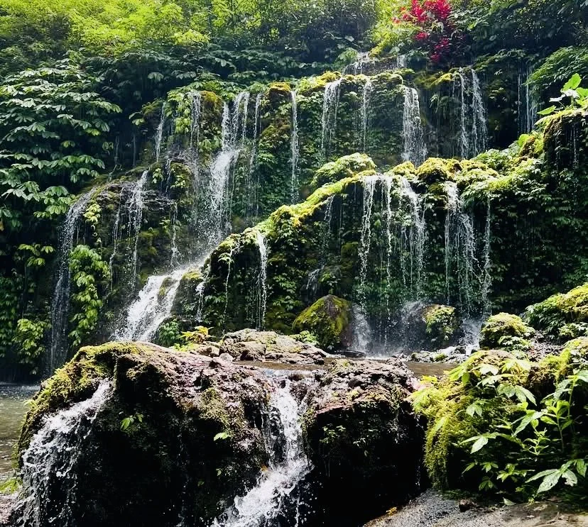 Bali Waterfall Green.jpeg