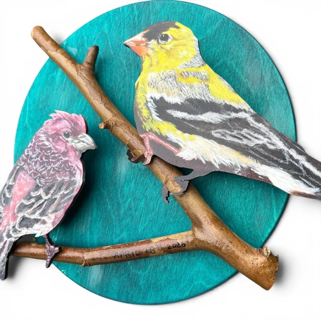 birds.jpeg