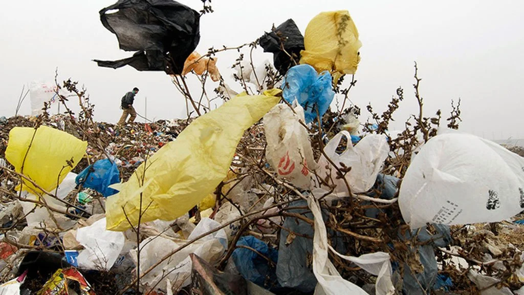 Why we should all welcome the 5p carrier bag tax..