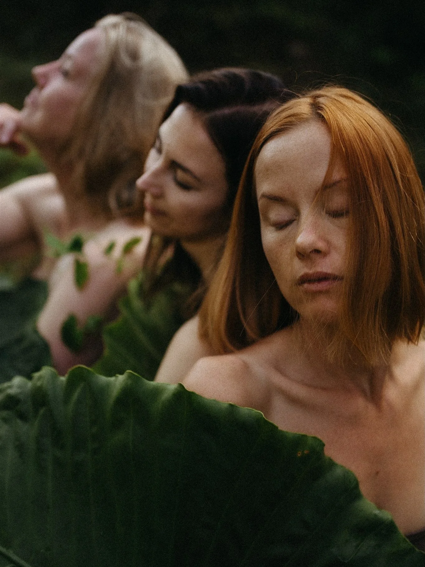 To the wild women. 
With untamed energy, freedom and the spirit of adventure. This year, let&rsquo;s rise together, tap into our inner strength, and make our mark on the world.
I believe this is the year to rise to your potential!

Happy women&rsquo;