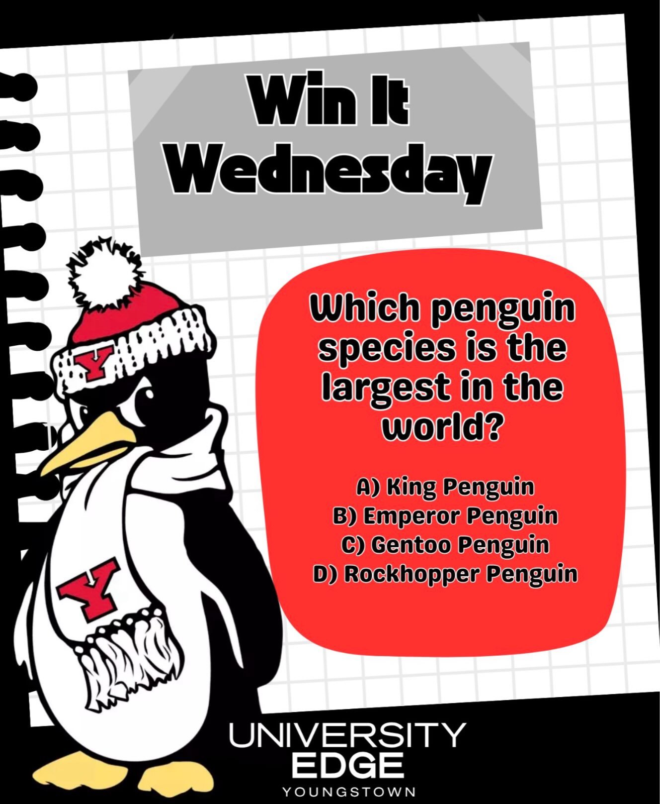 Think you know your penguins better than Pete? 
🎉 Want a chance to win some University Edge swag + lunch on us? 🍕🥤
Here&rsquo;s how to enter:
✅ Like this post
✅ Repost to your story/feed
✅ Tag a friend in the comments
✅ Comment your answer below
?