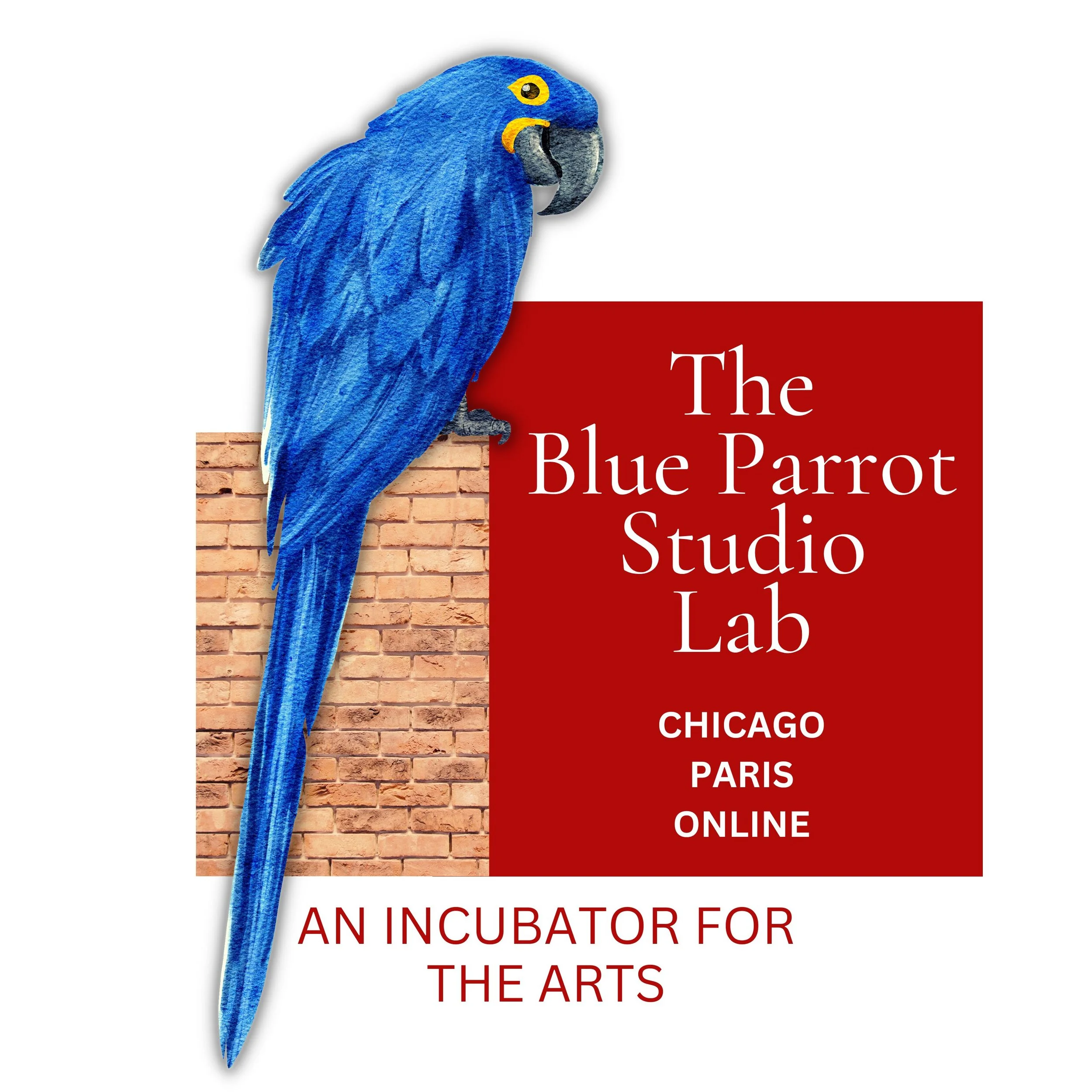 New Play Development: Classes and Workshops